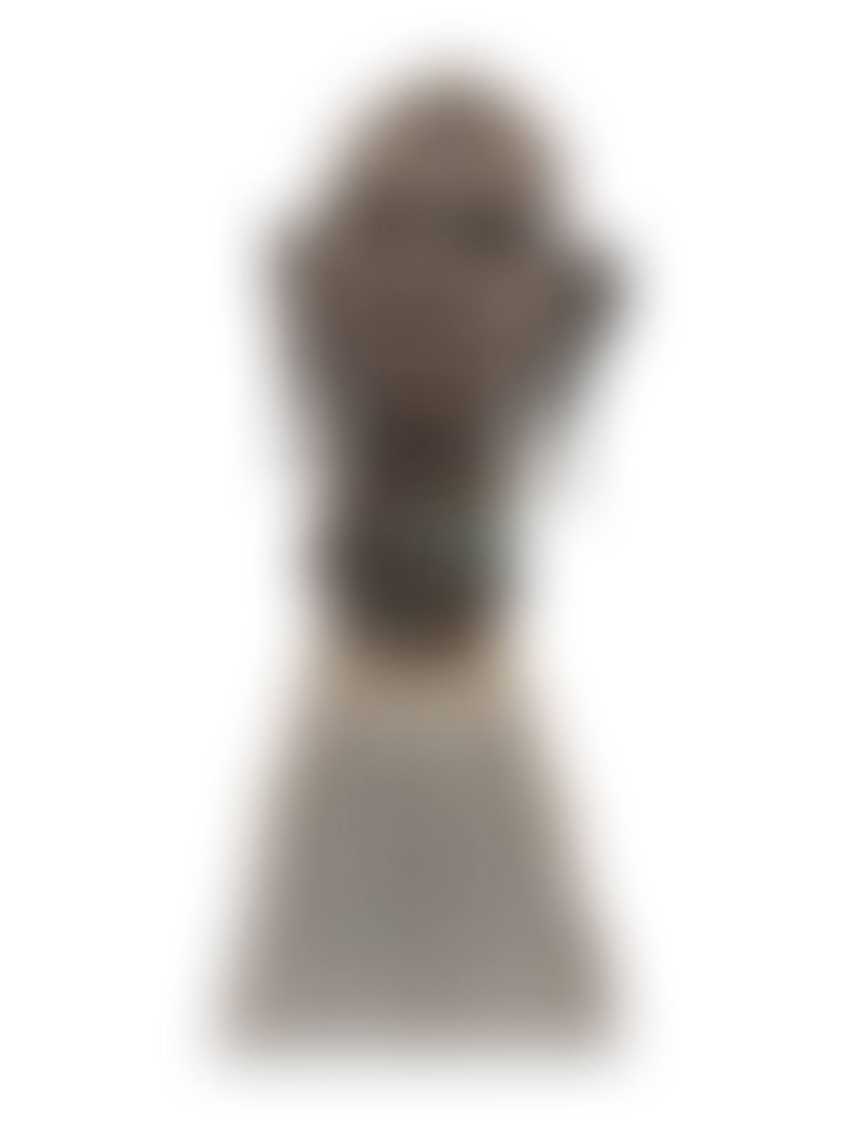 Bust (preview)