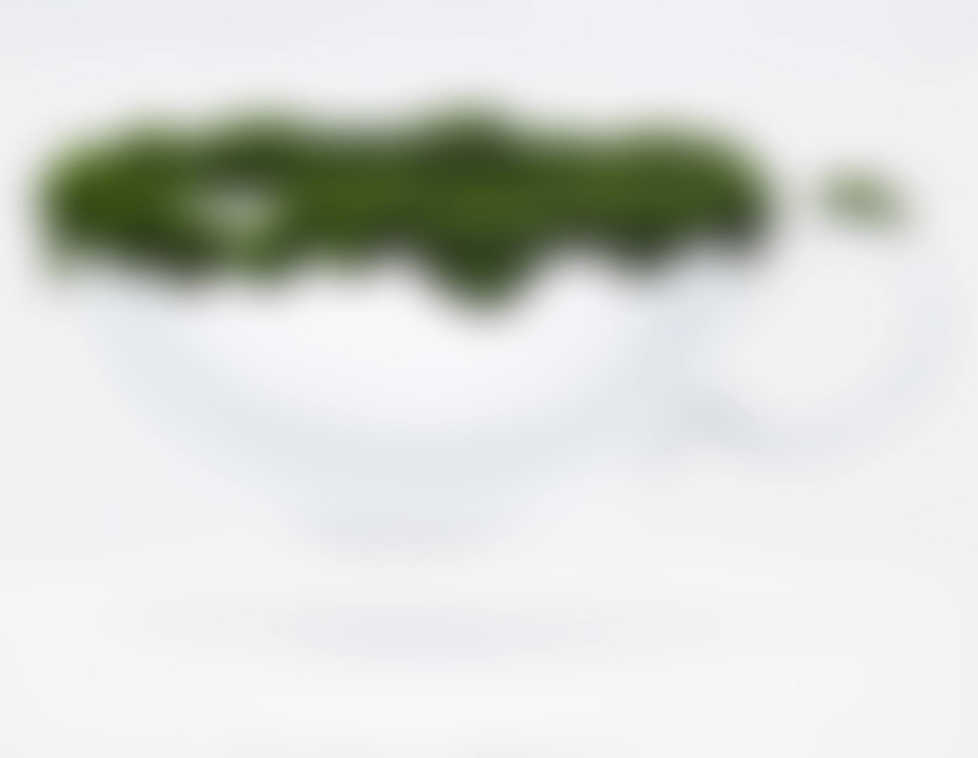 Moss in a Coffee Cup (preview)