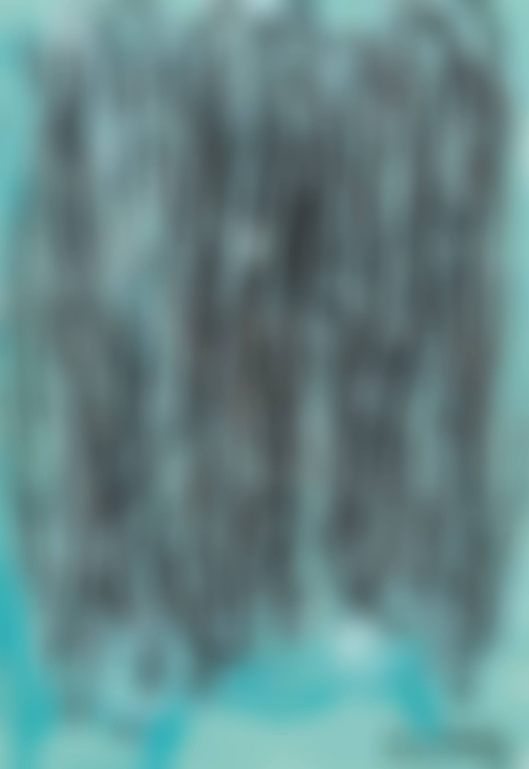 The Method of Drawing (preview)