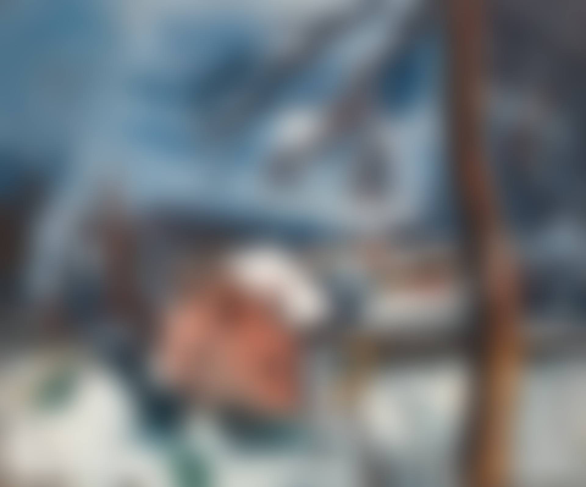 Paysage de neige (preview)