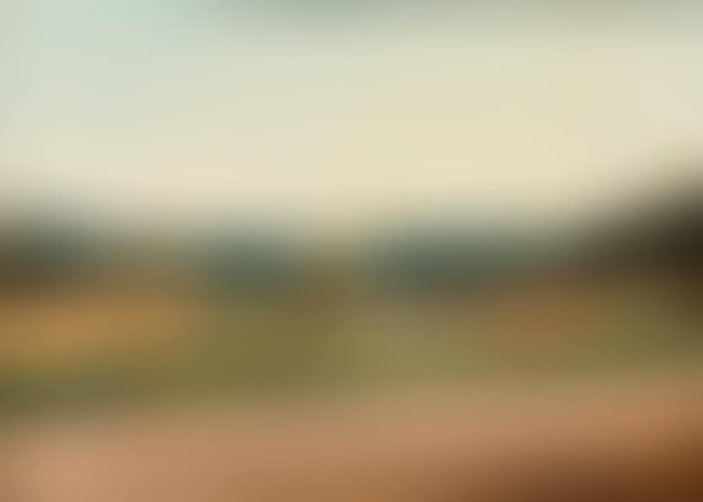 Paysage (preview)