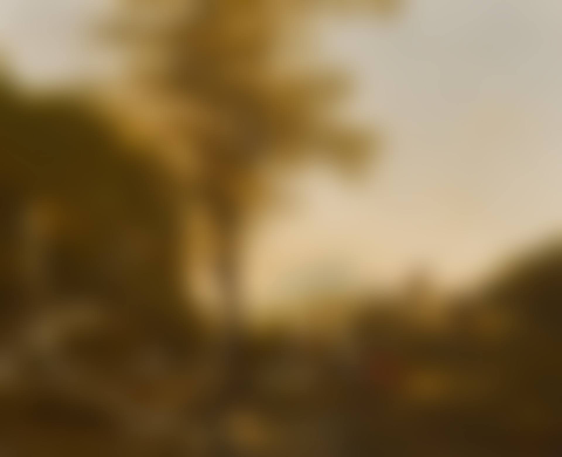 Landscape with travelers on a road near a waterfall (preview)