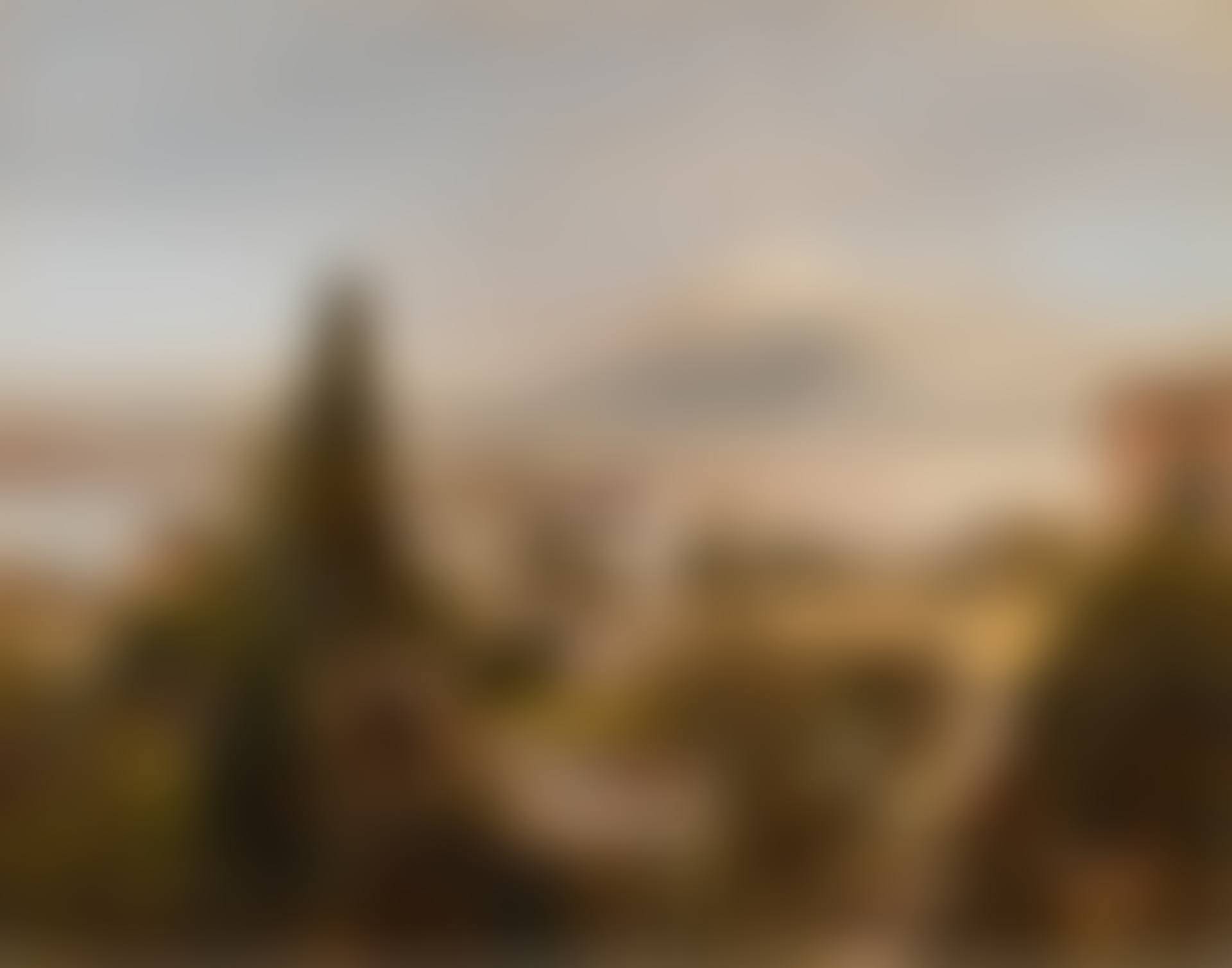 View of the Bay of Naples, with Vesuvius beyond (preview)