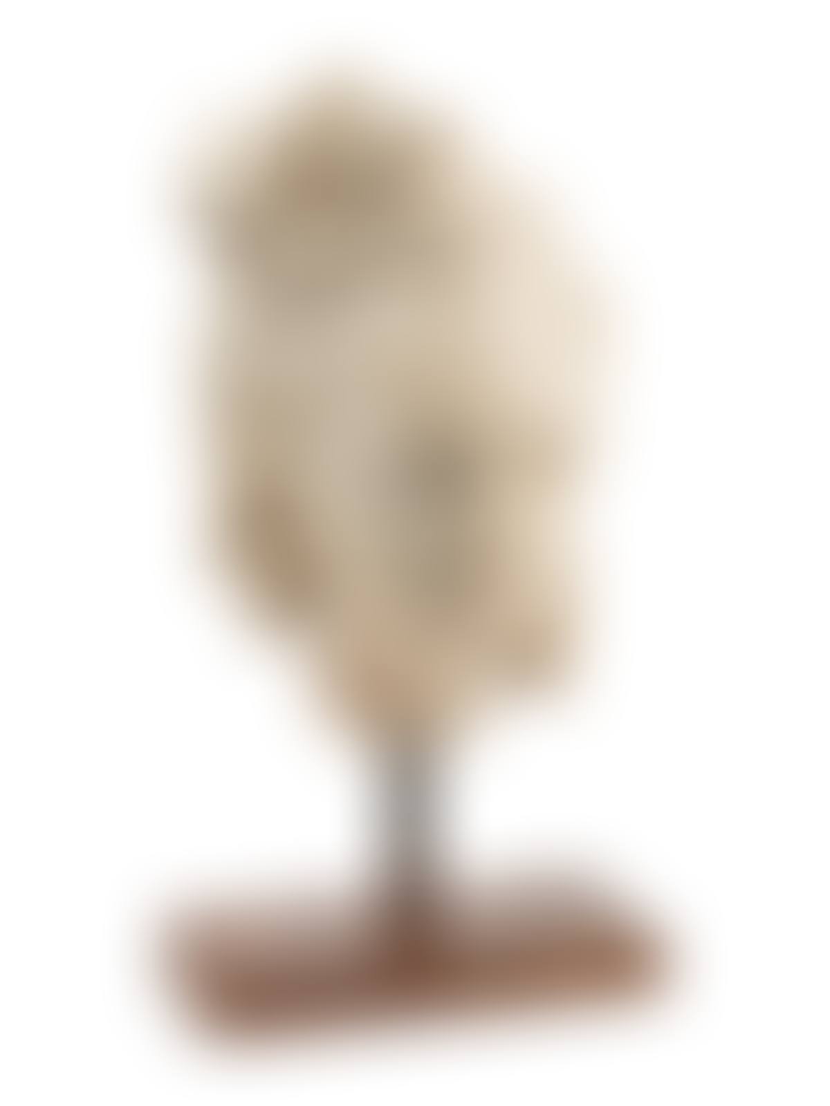 An Italian Marble Head of a Lady on an Iron Base (preview)