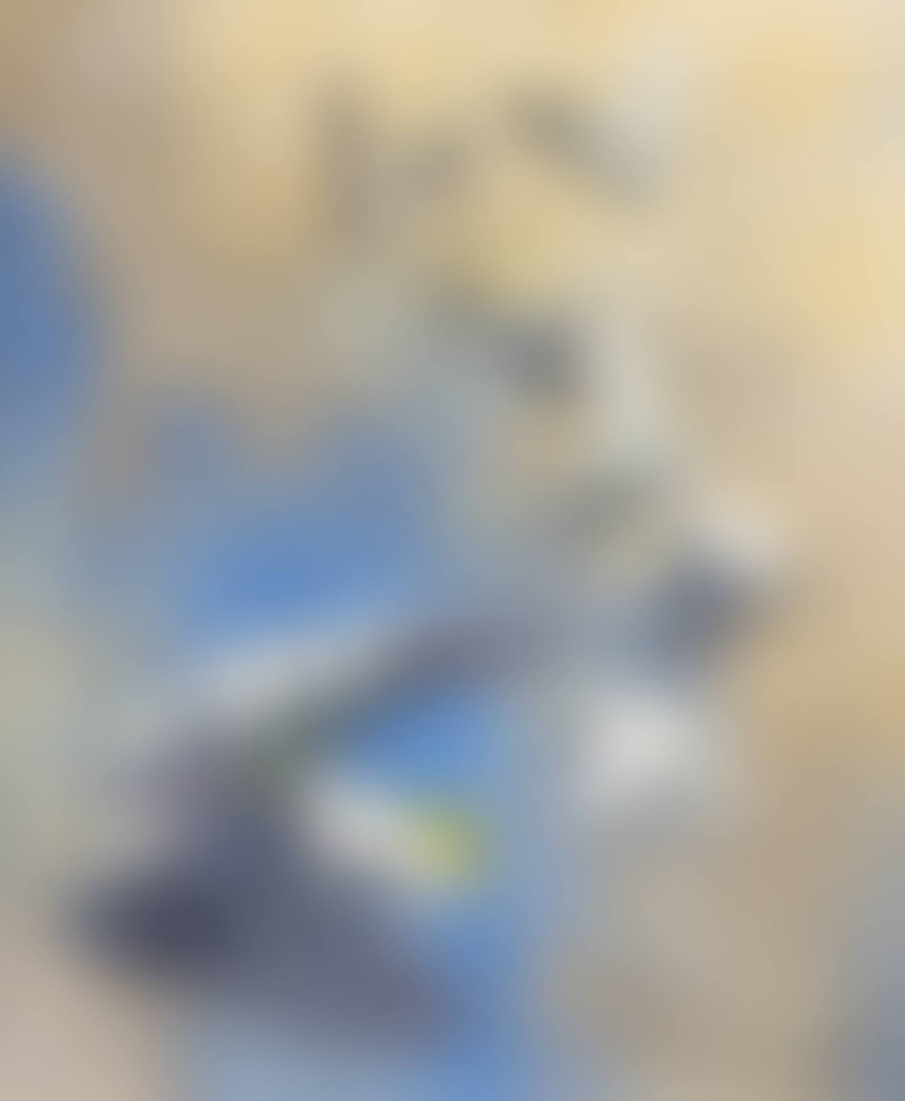 Untitled (A Company of Cockatoos) (preview)