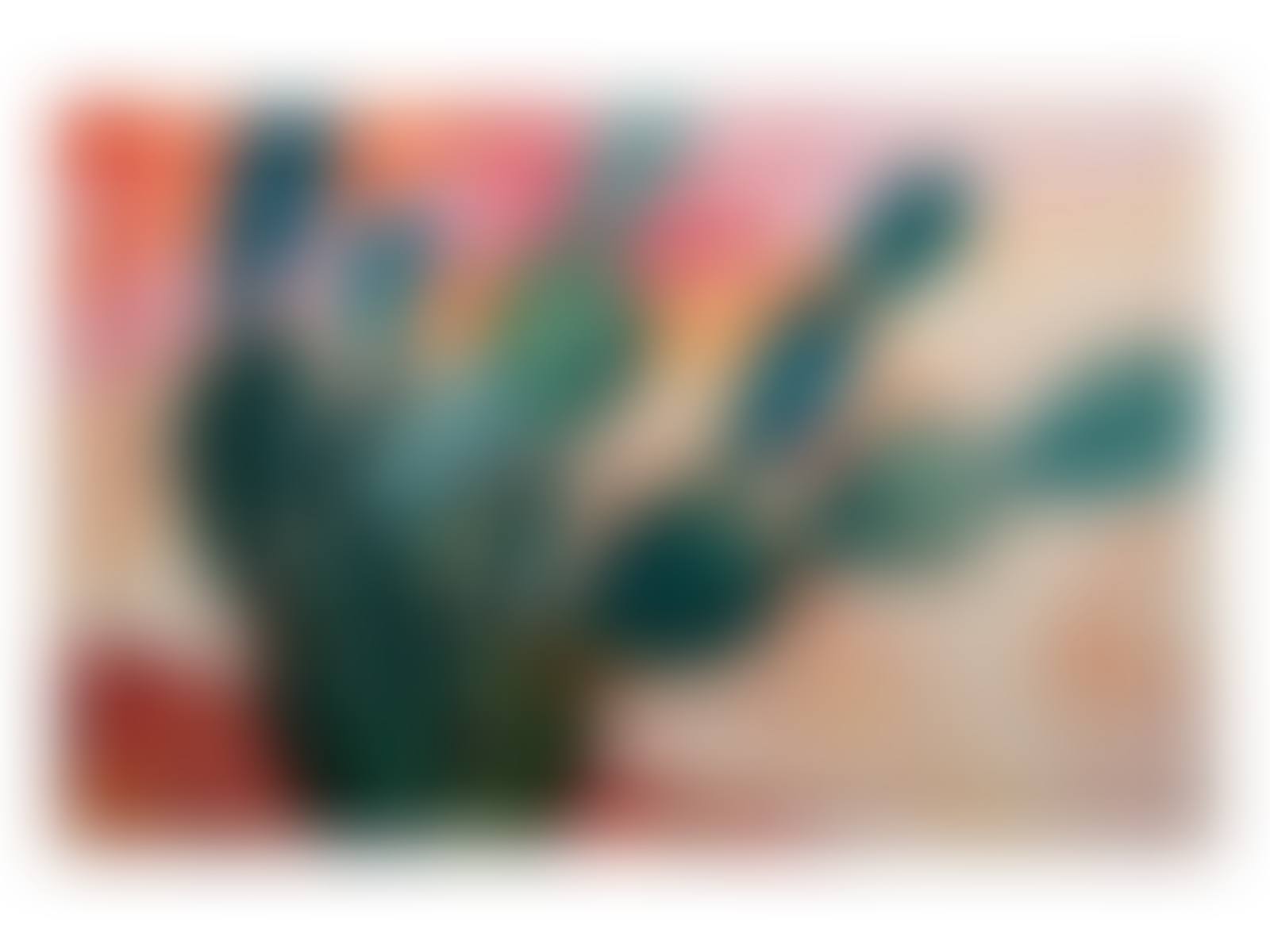 Cacti (preview)
