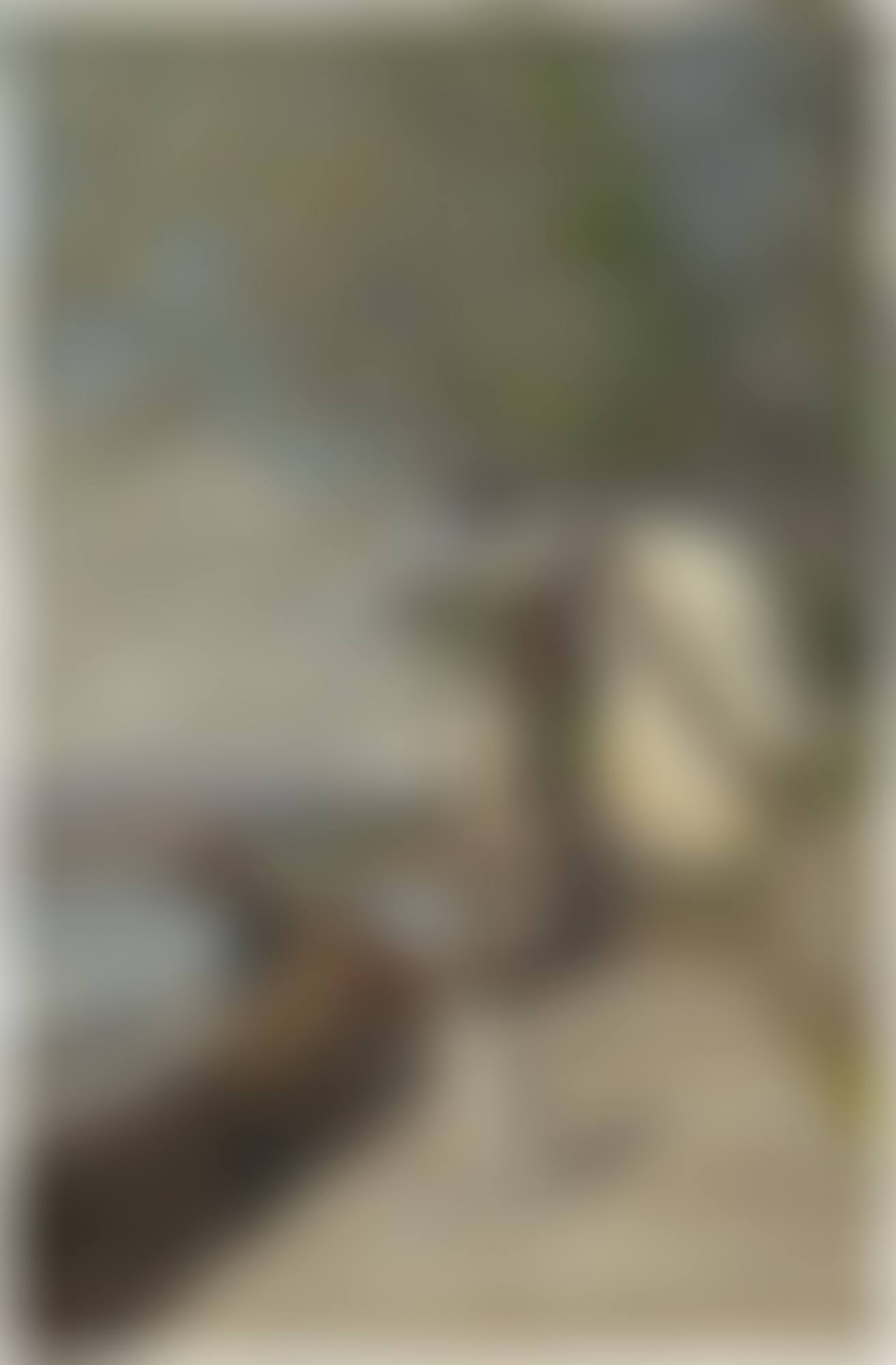 Le repas des cygnes, 1883 (preview)