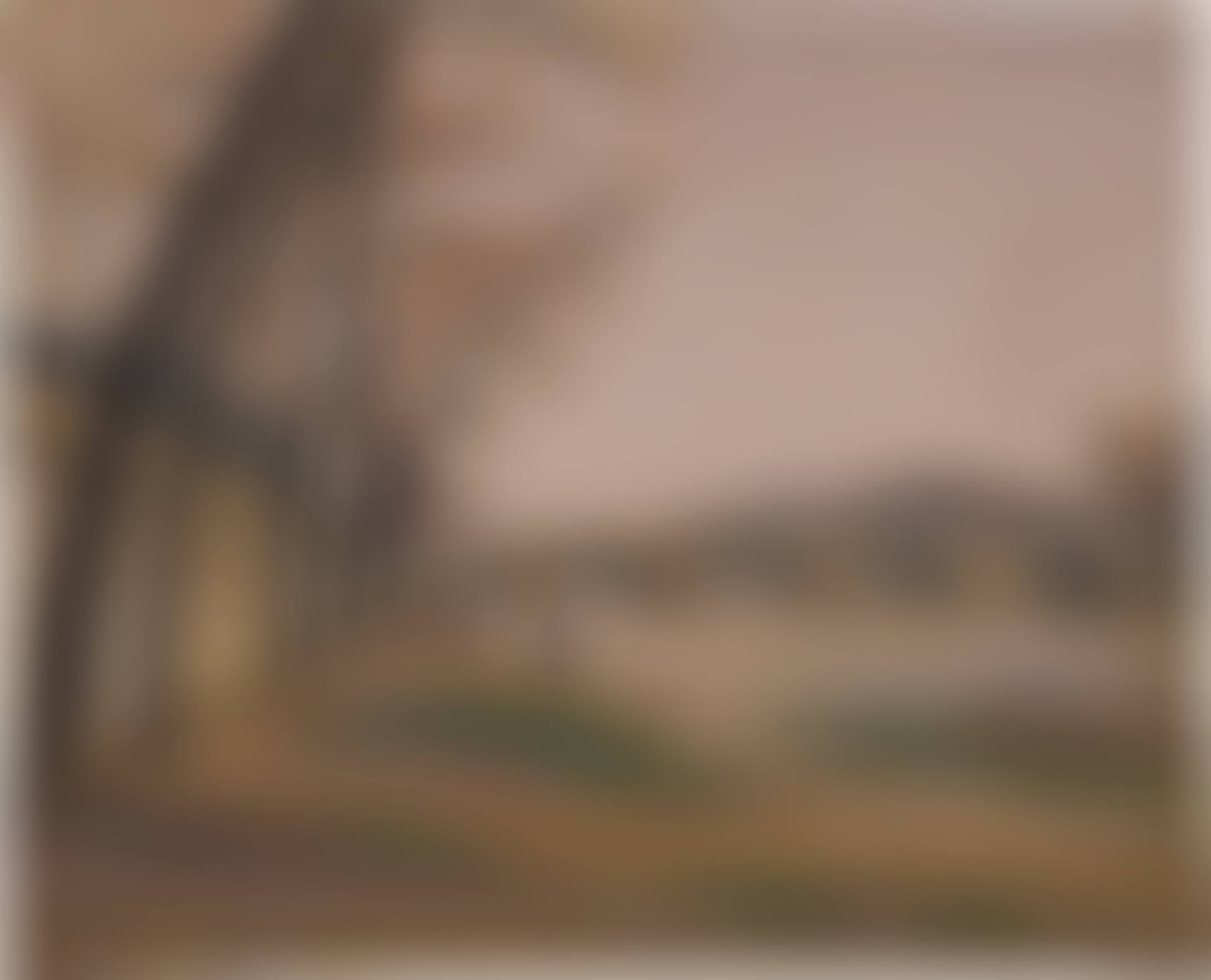 Parisian landscape (preview)