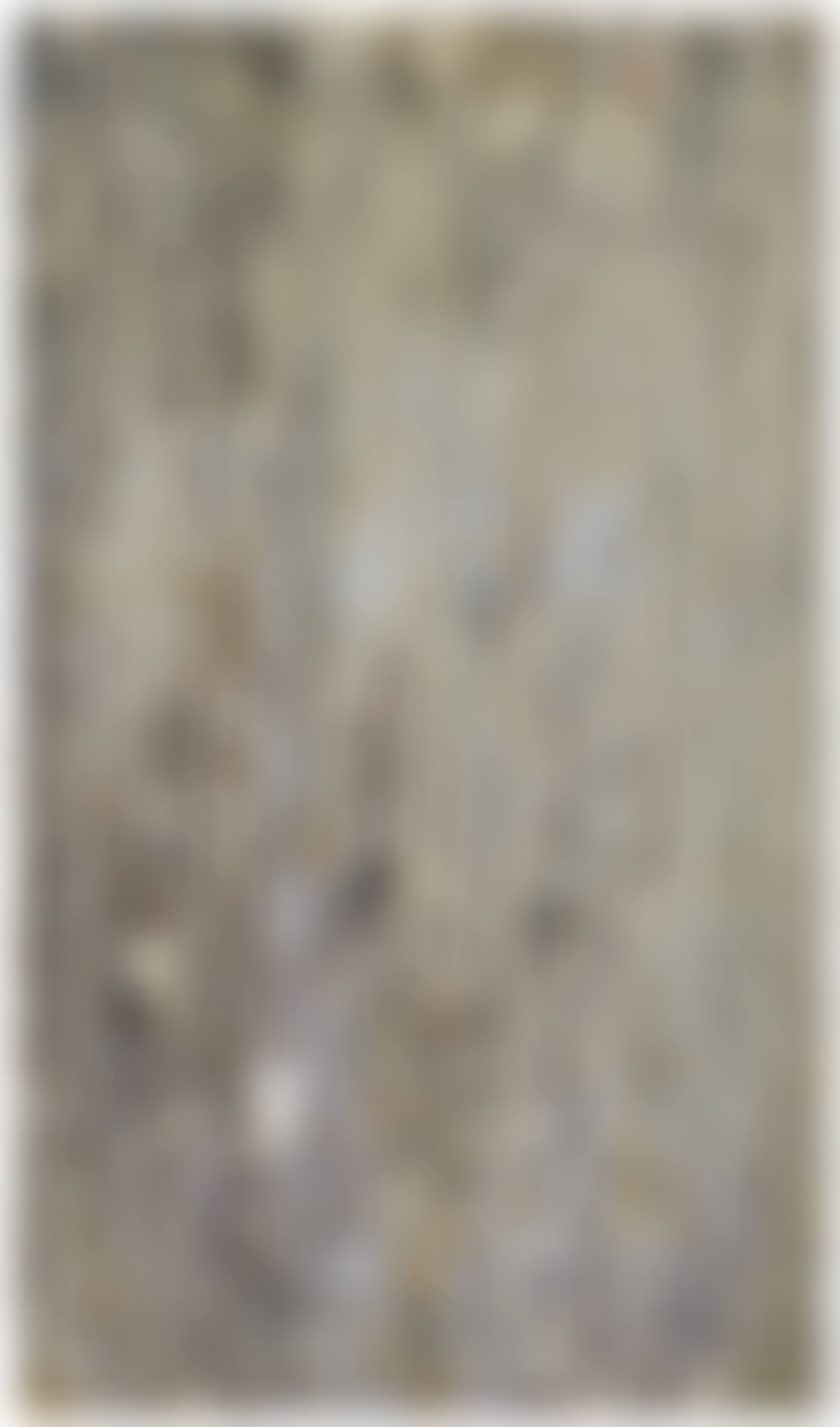 Untitled (78A4) (preview)
