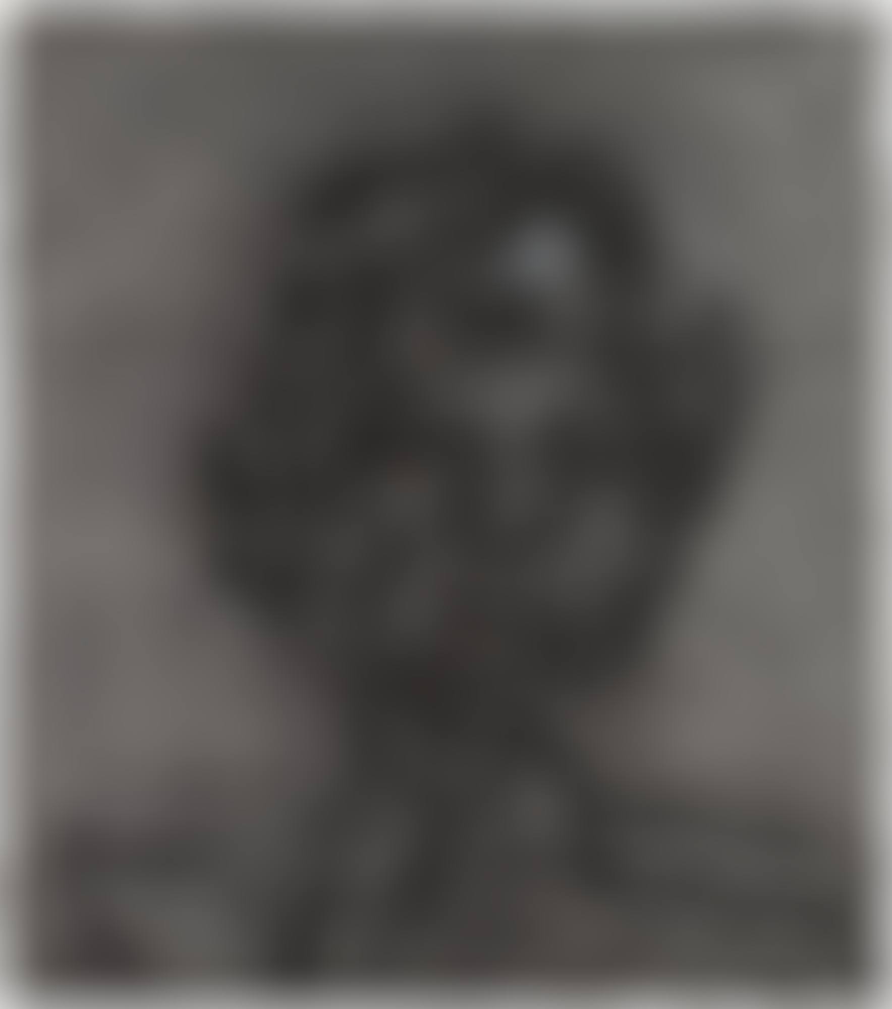 Head of Robert Hughes (preview)