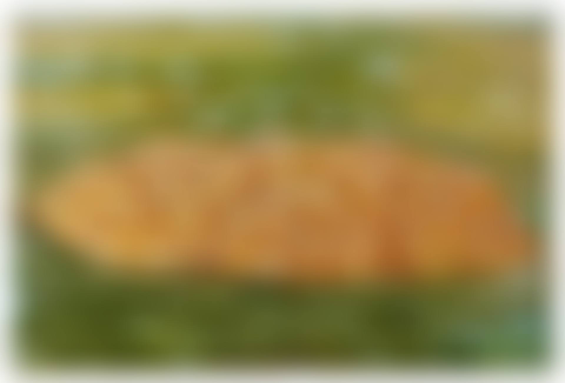 Bomb Island (preview)