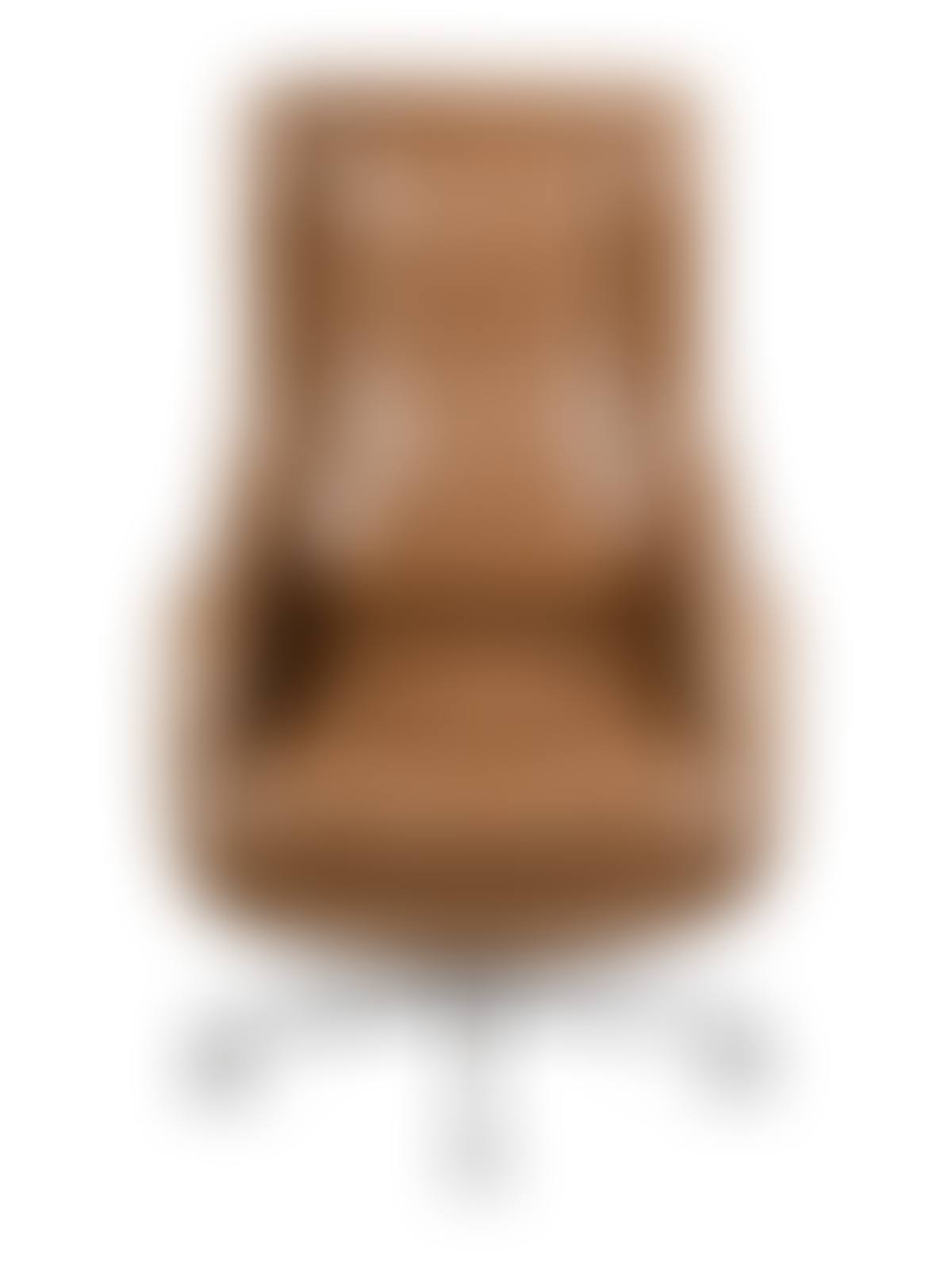 Executive Office Chair (preview)