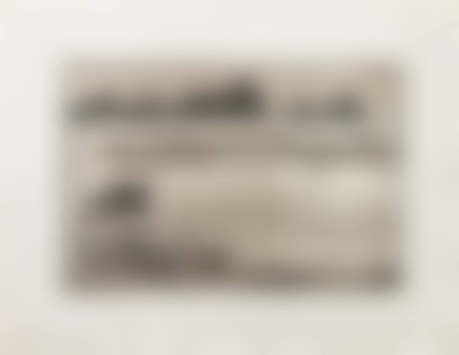 Plate from Photogravures Suite 1 (America Mix) (preview)
