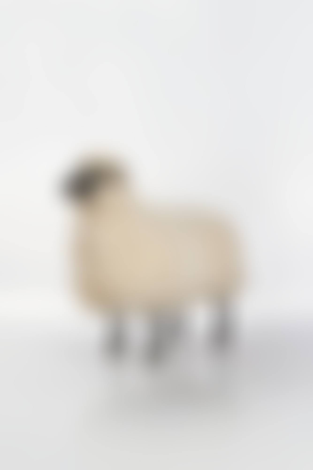 Mouton de Laine (preview)