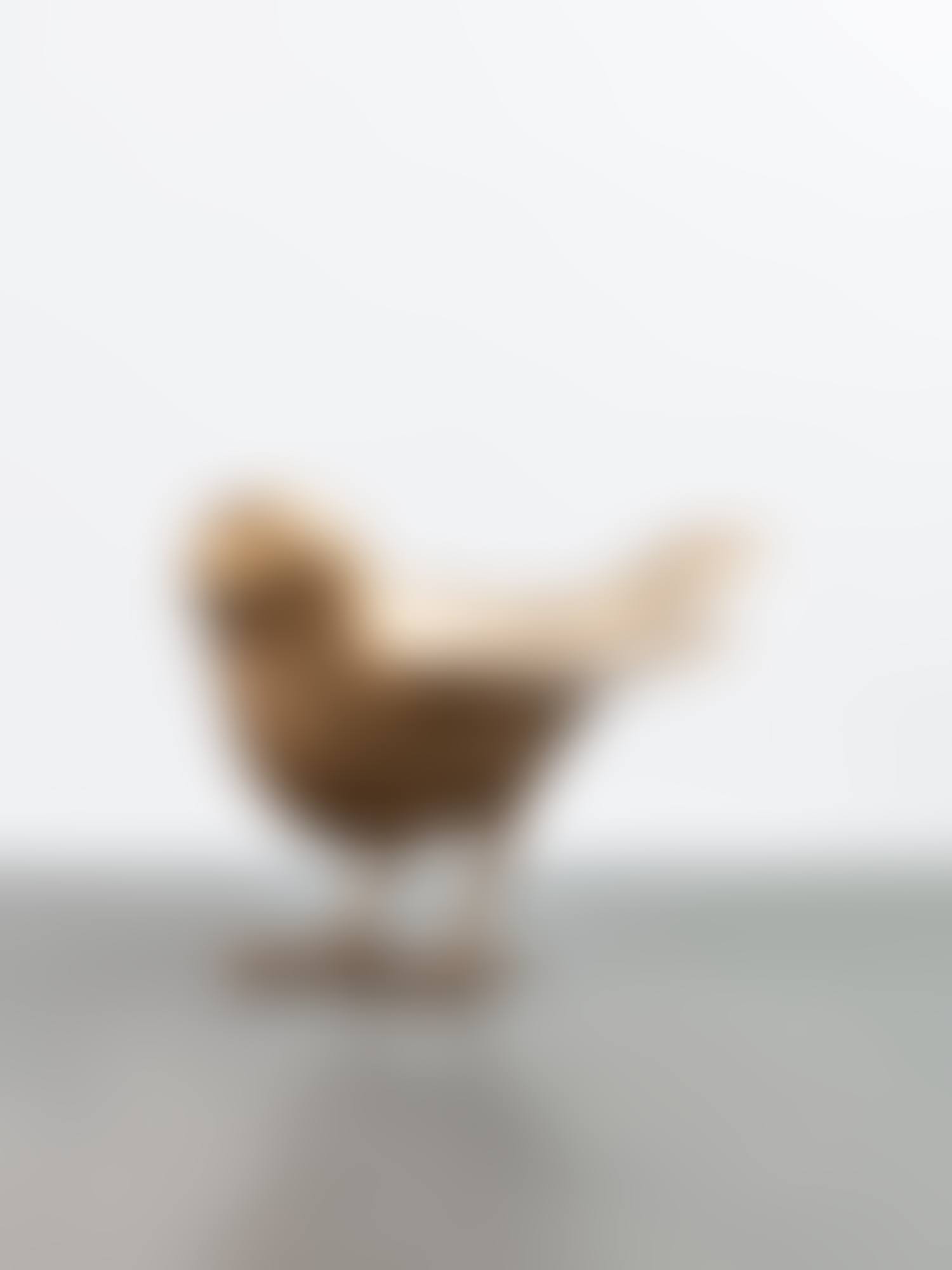 Oiseau de Jardin III (preview)