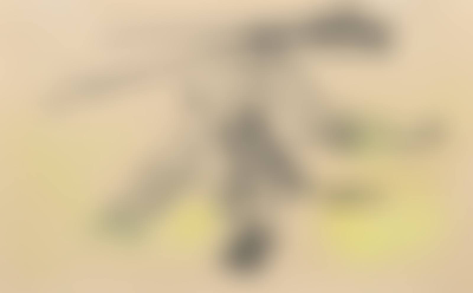 Untitled (TEHA Study #2) (preview)