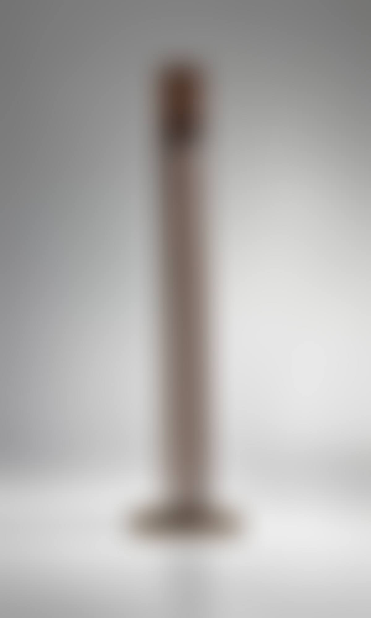 Untitled (Sonambient); with cattail tops (preview)