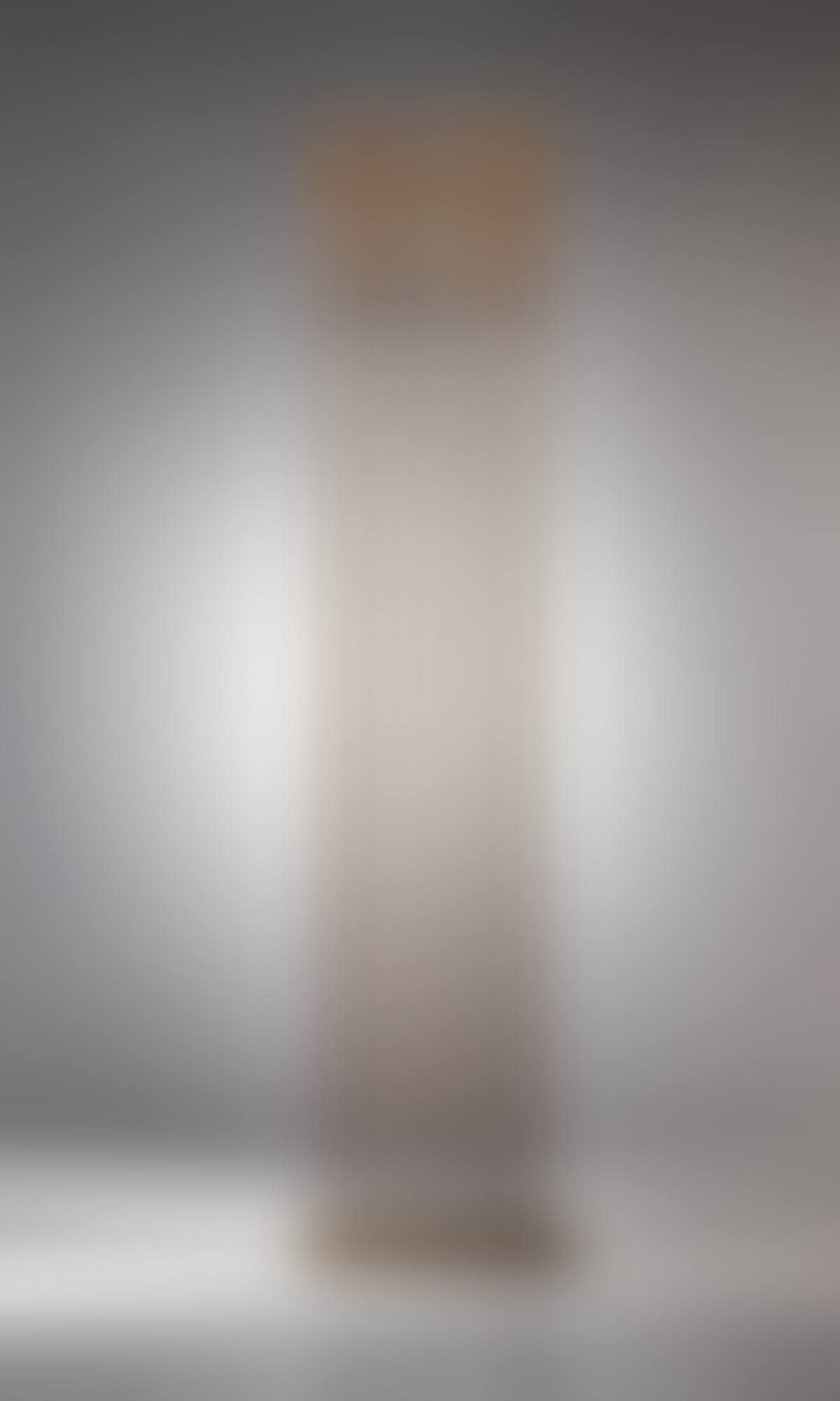 Untitled (Sonambient); with cattail tops (preview)