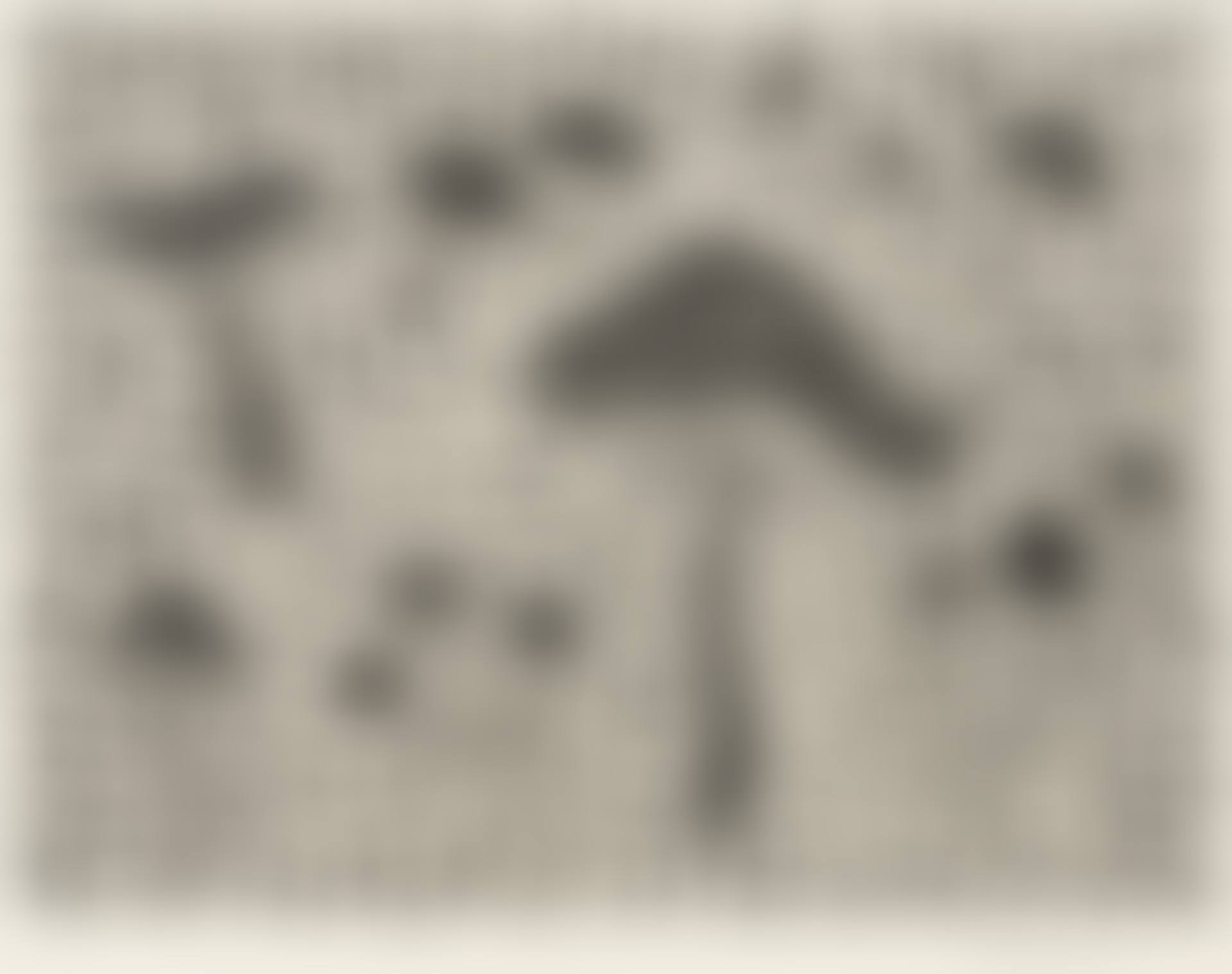 Mushrooms (preview)