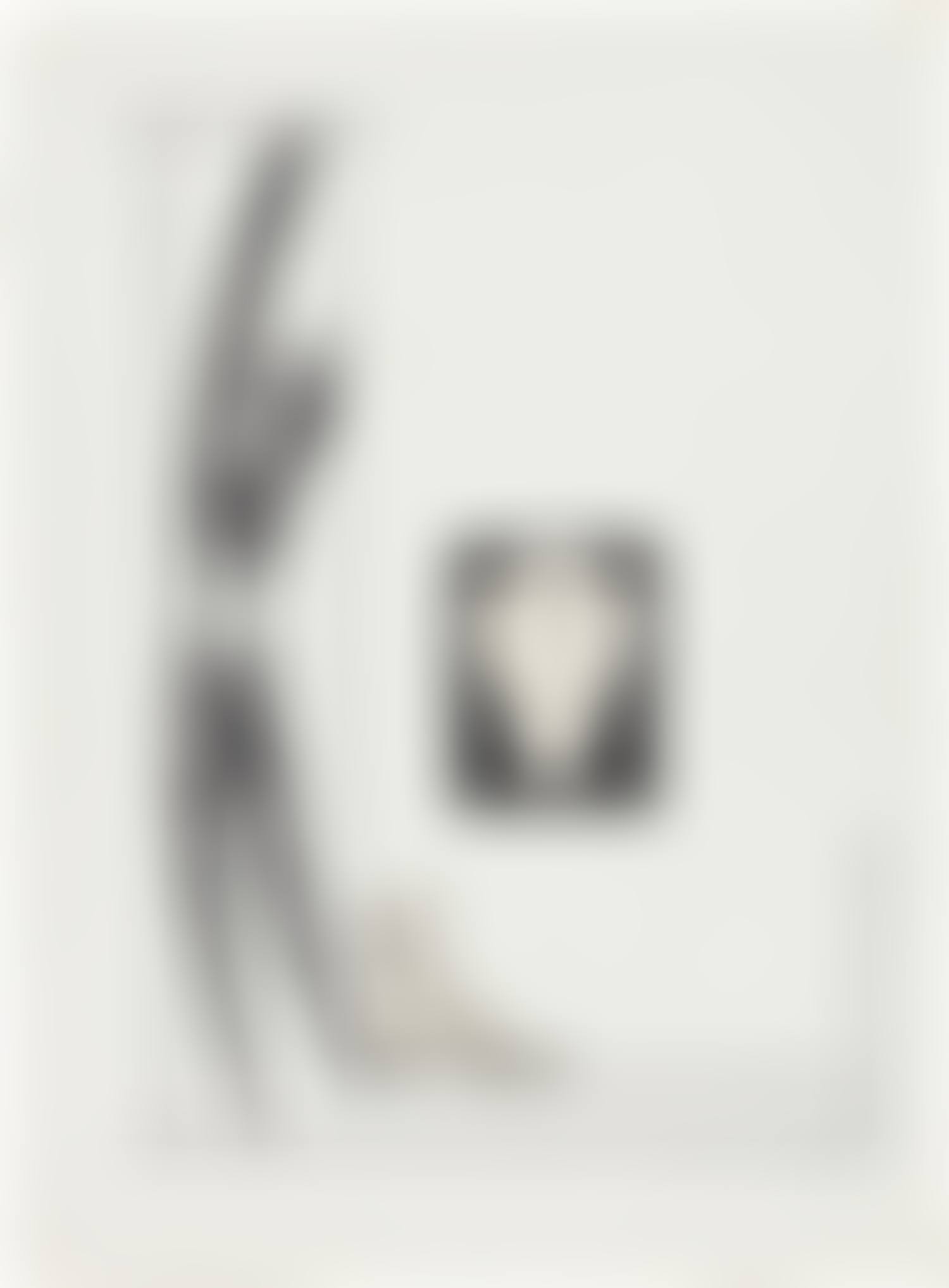 Initiale L (preview)