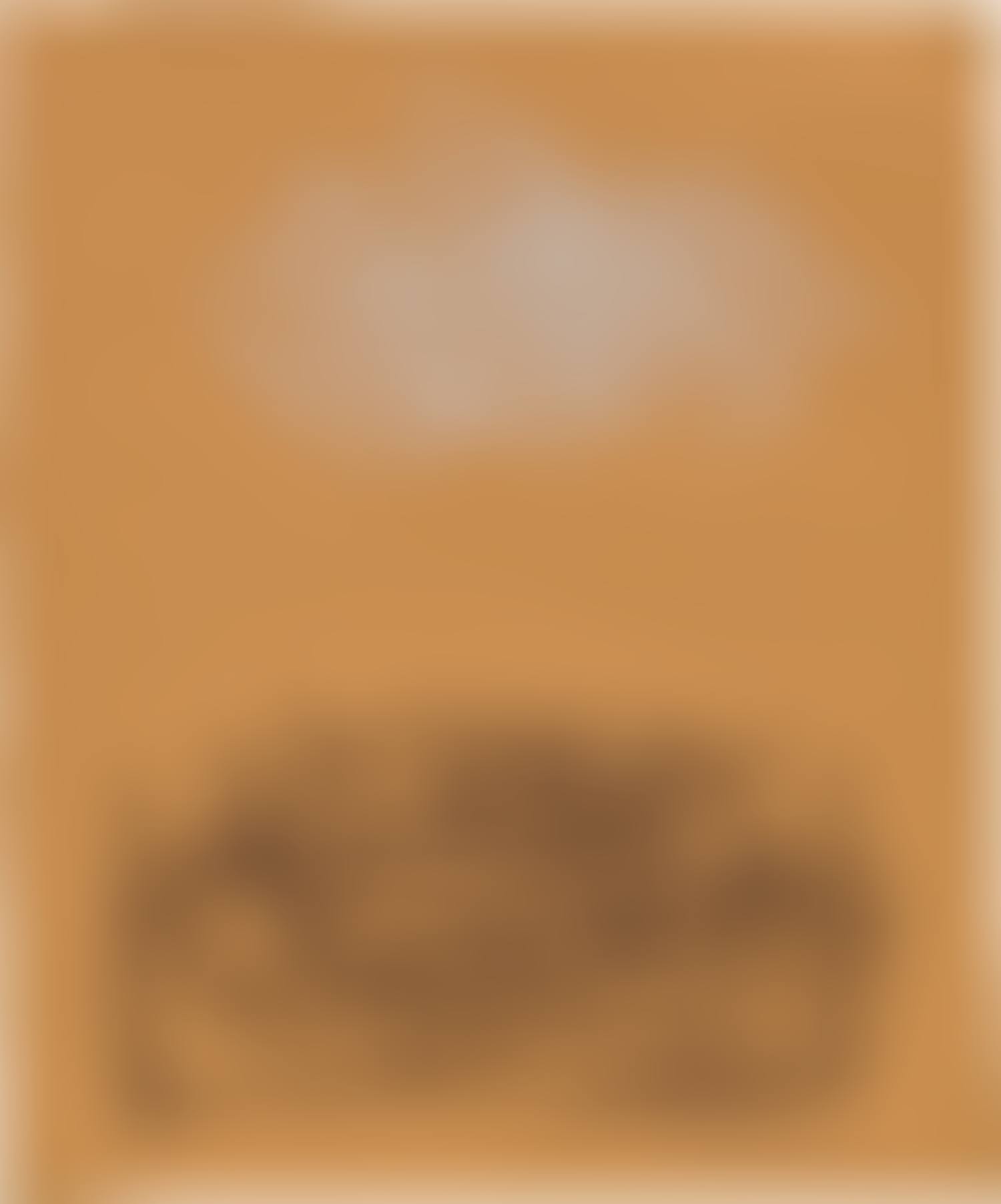 Spiegelung (preview)