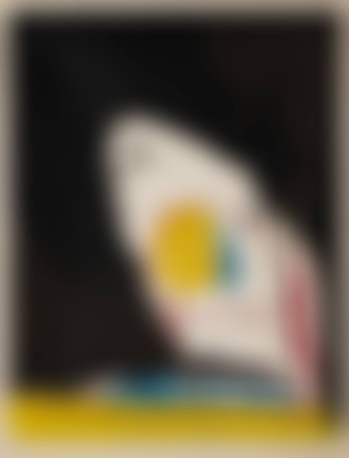 Capriccio (preview)