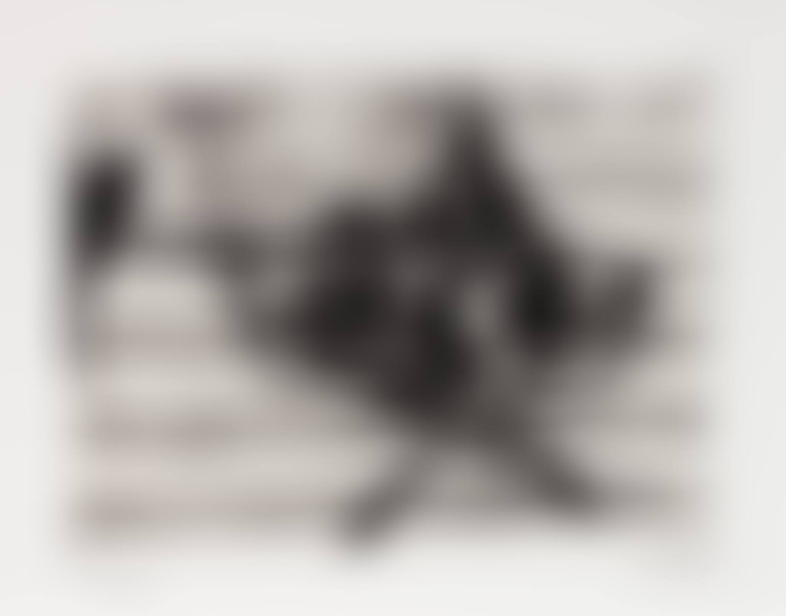 Untitled (from Harvey Gantt Portfolio) (preview)