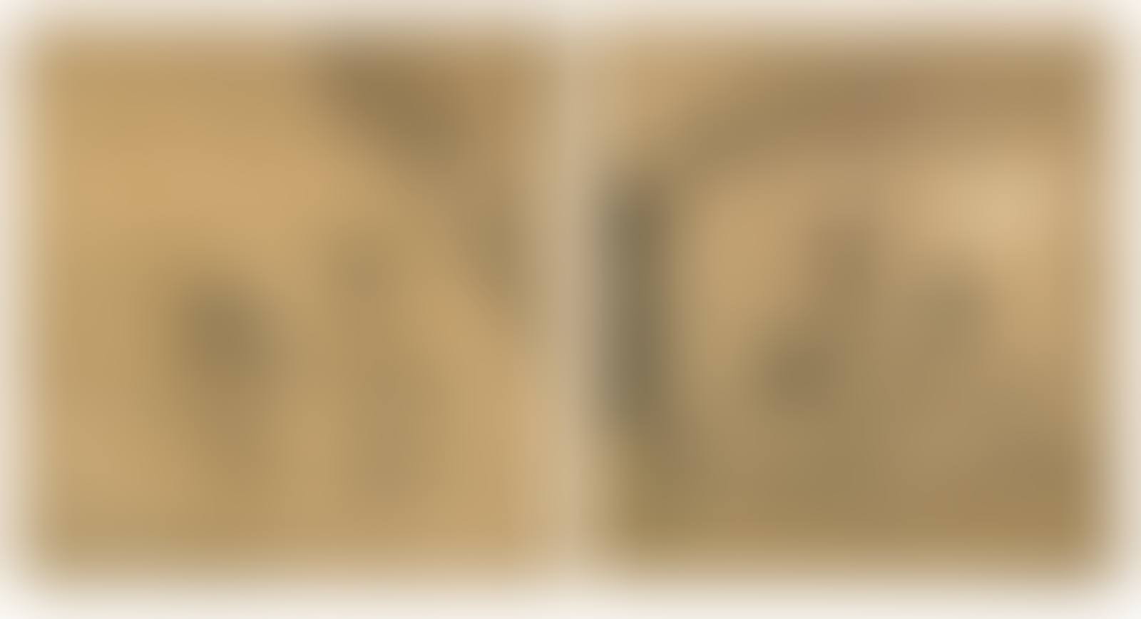 Genre Paintings (preview)
