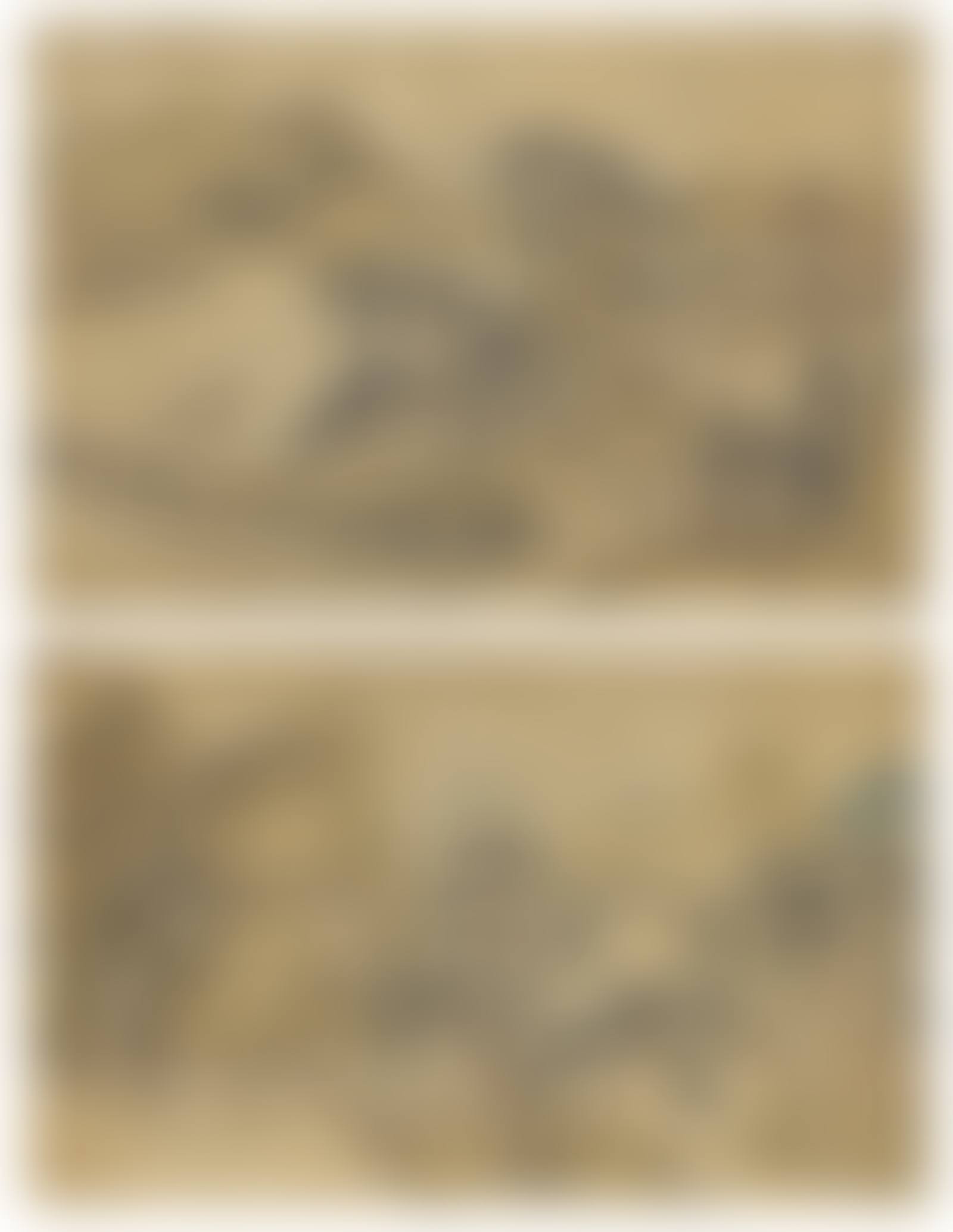 Landscapes (preview)