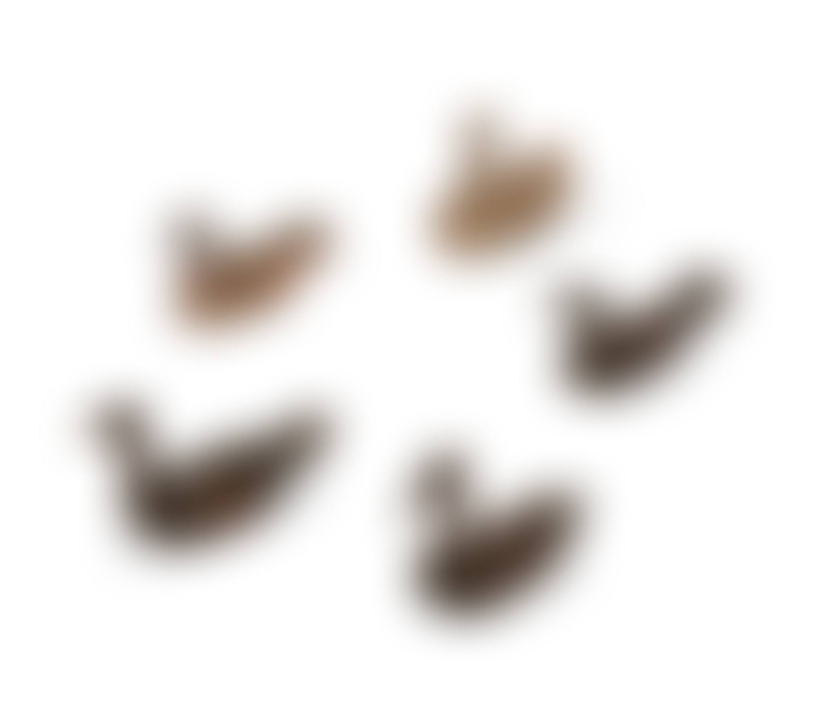 Wild Geese (preview)