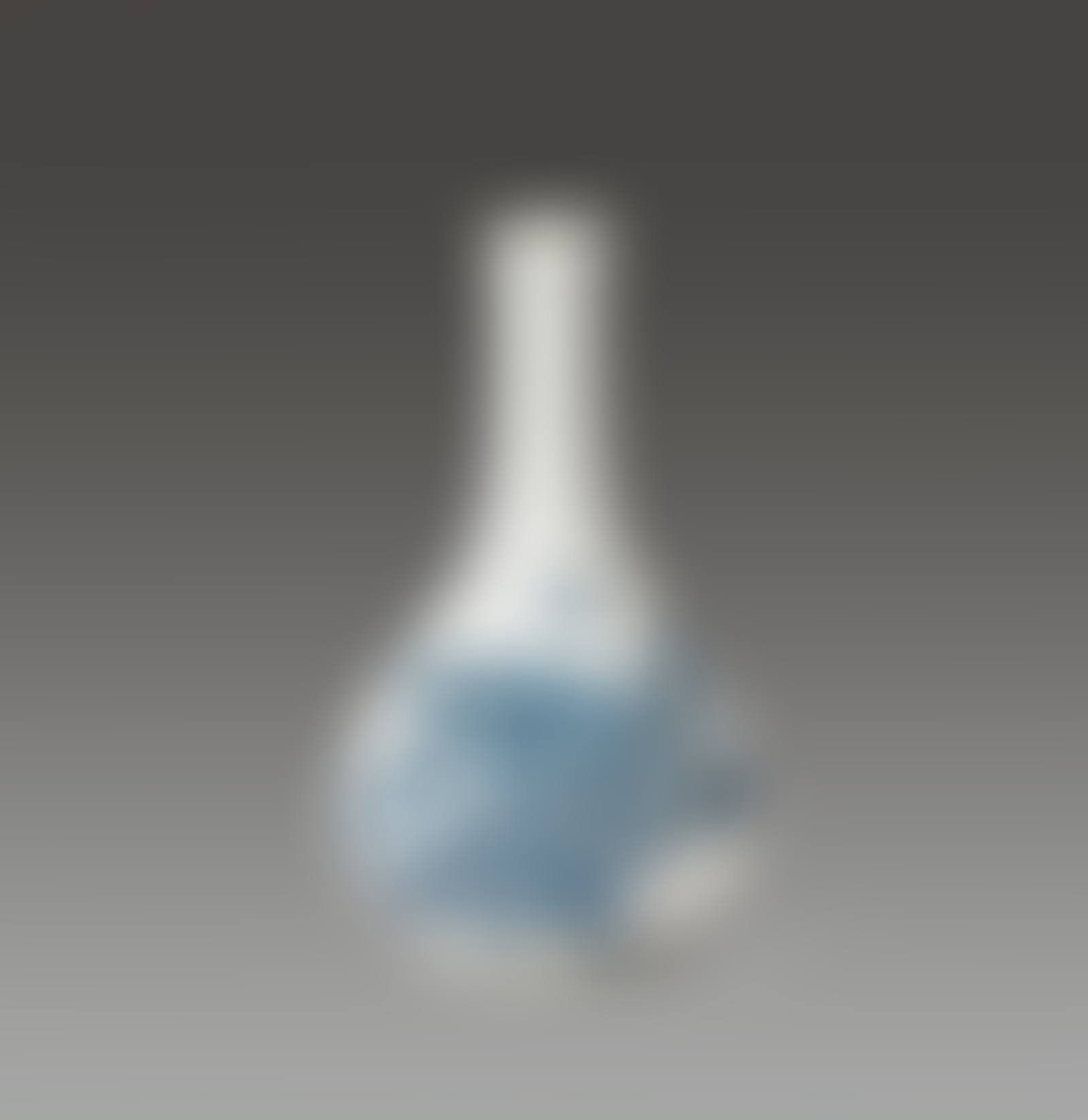Blue & White Porcelain Bottle (preview)