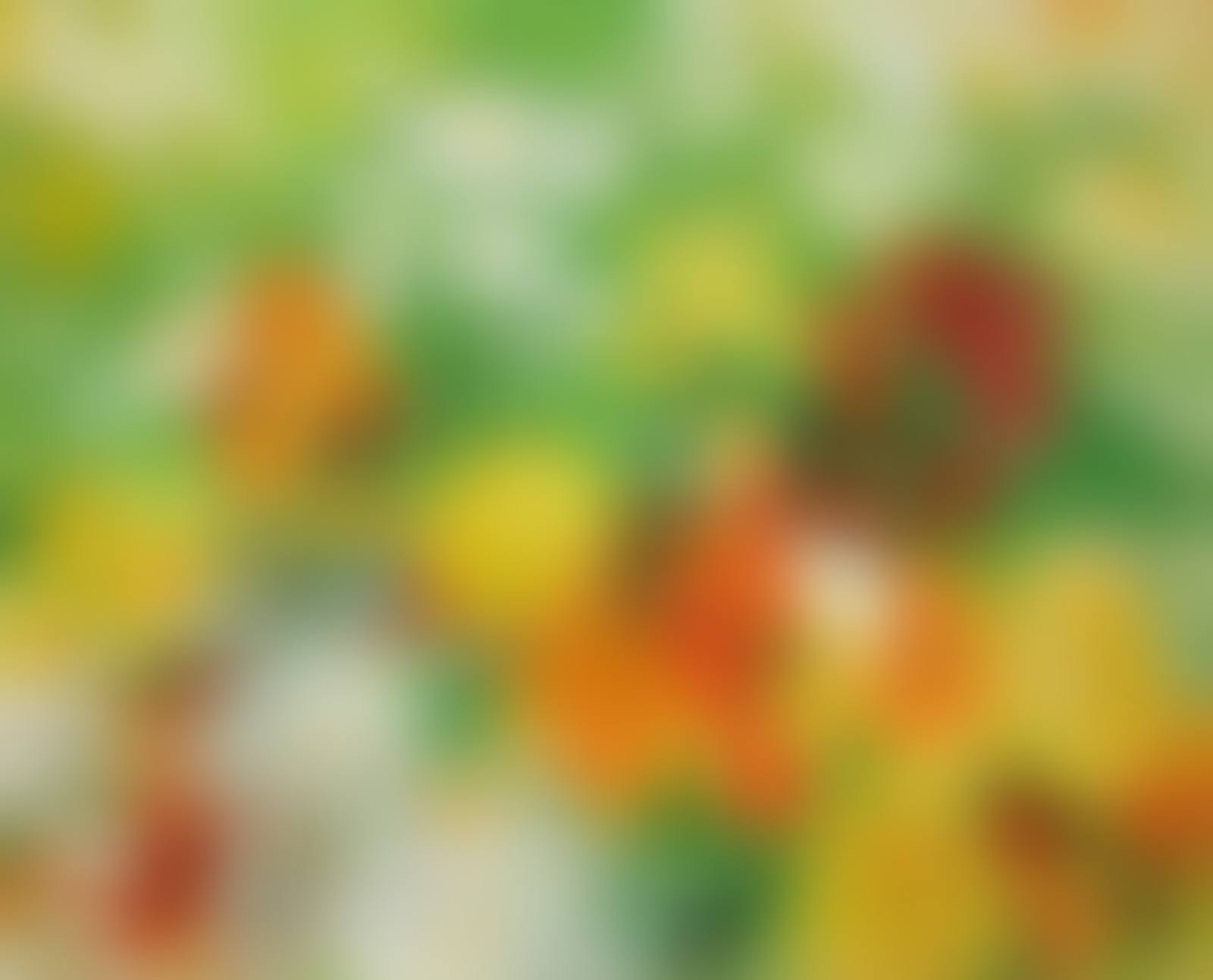 Les dahlias (preview)