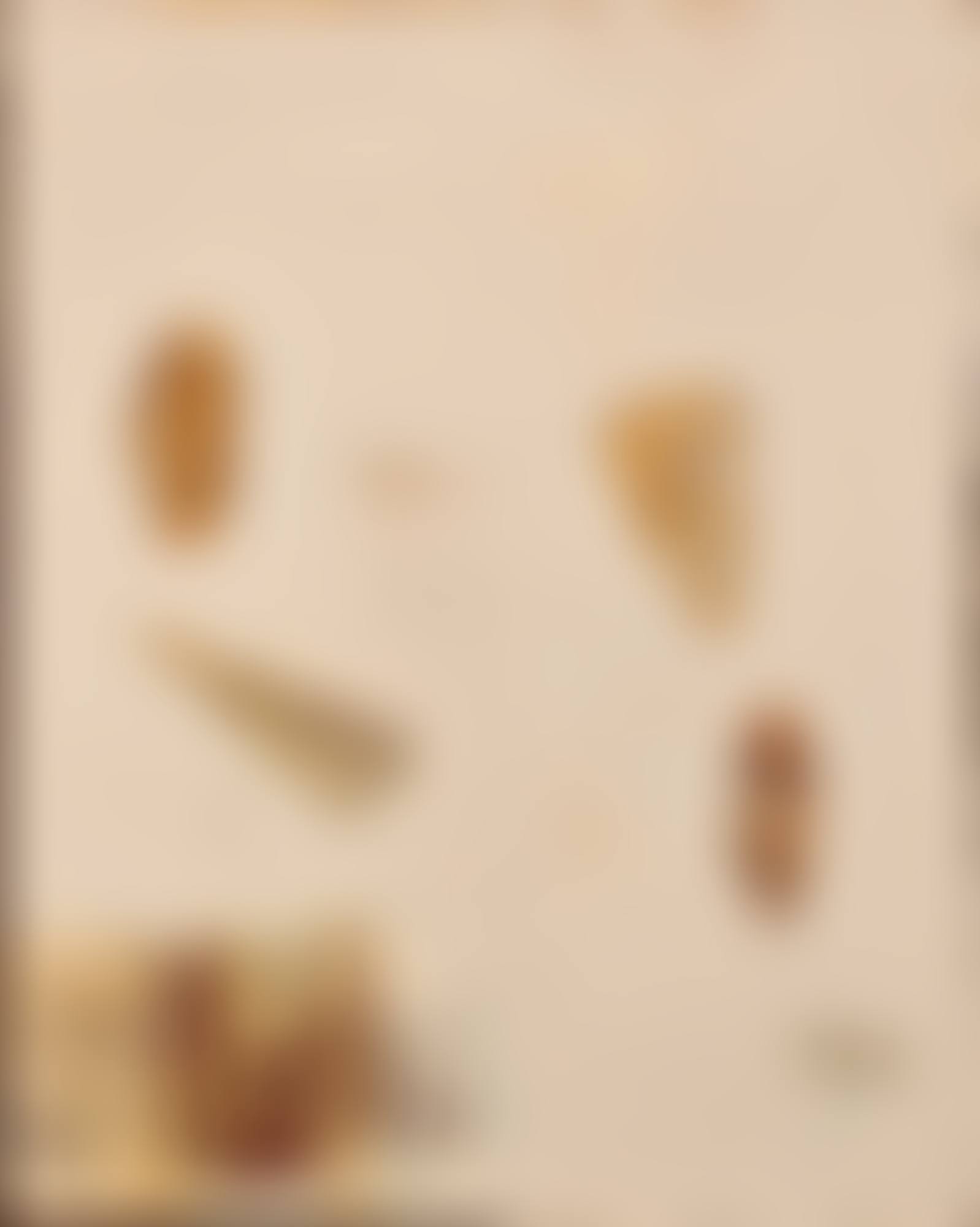 Corallo corallo (preview)