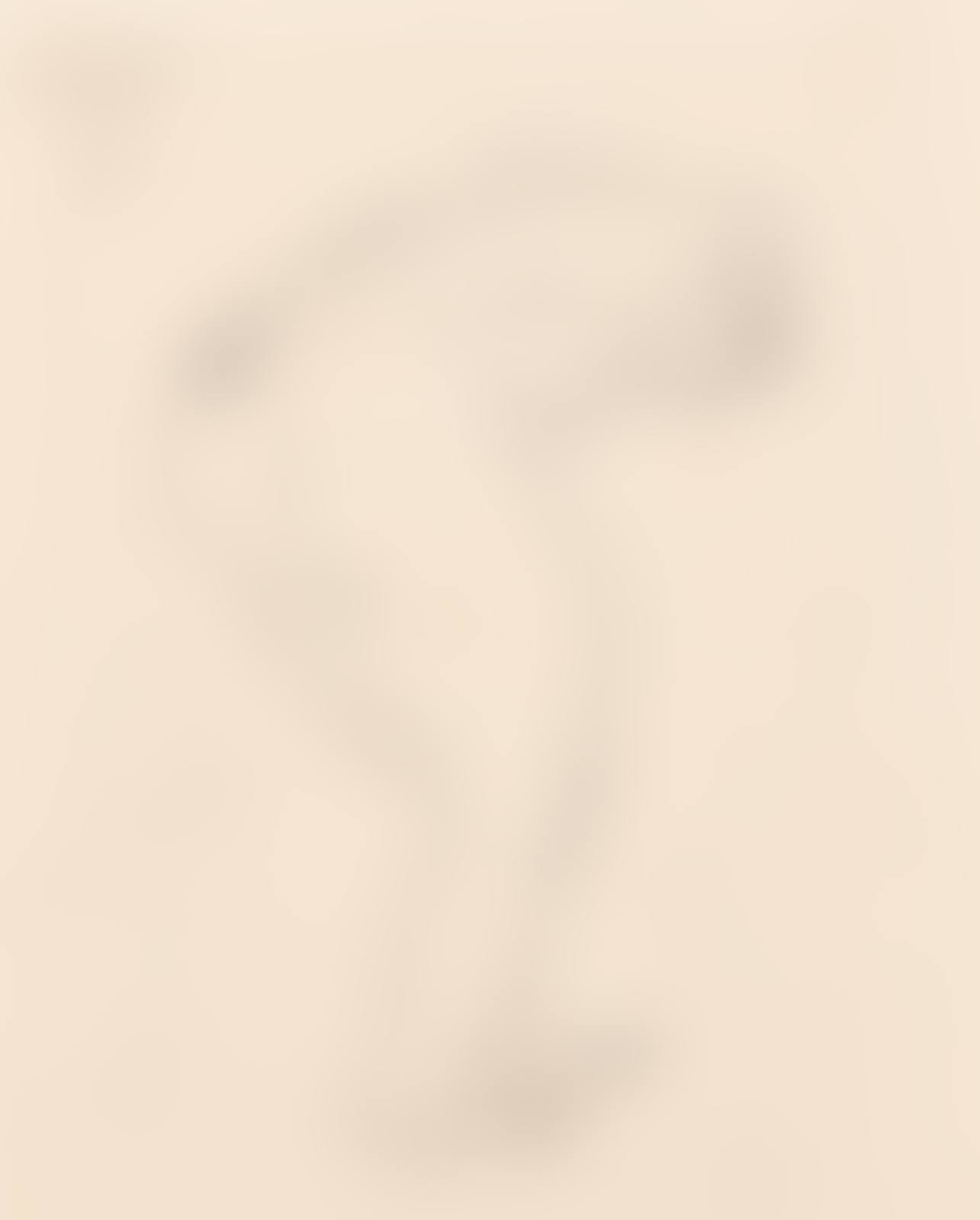 Nude Bending Forward; Untitled (Nude Torso) (verso) (preview)
