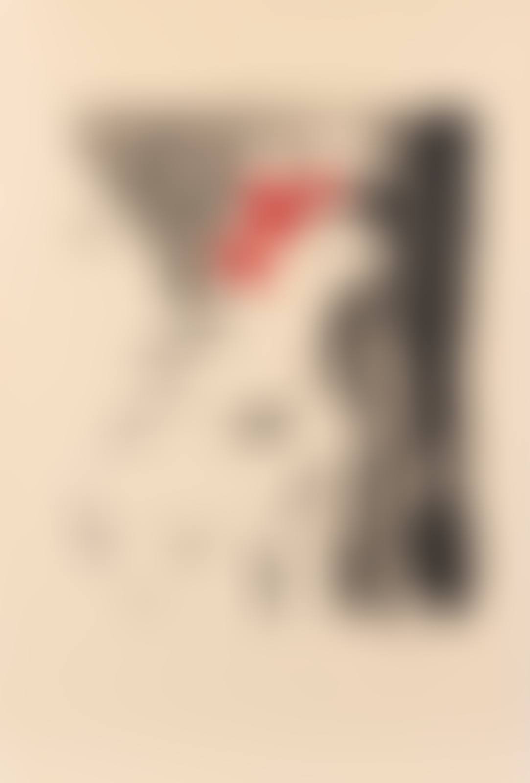 Le Coq (preview)