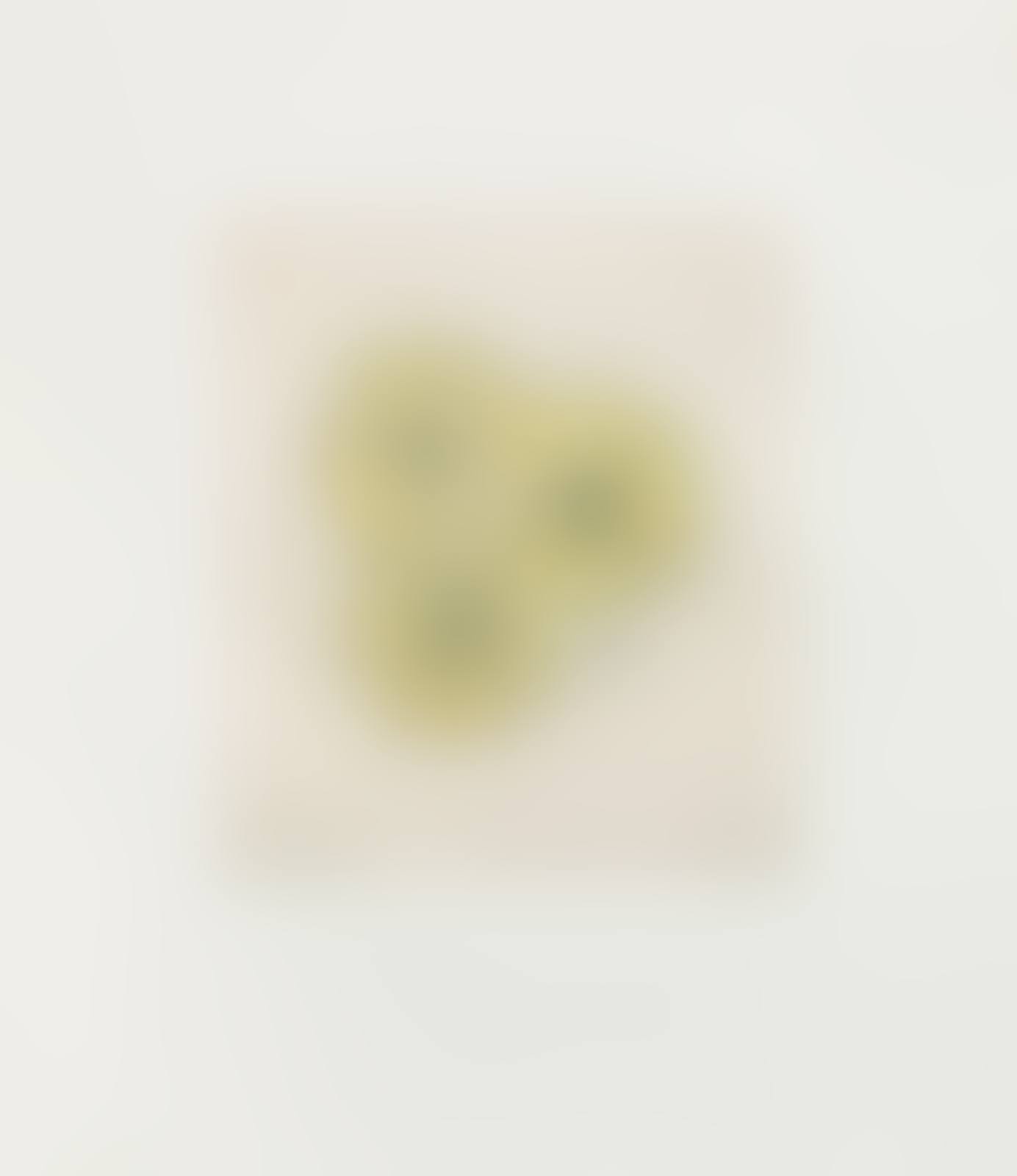 Flower with Bee (the complete portfolio of 6) (preview)