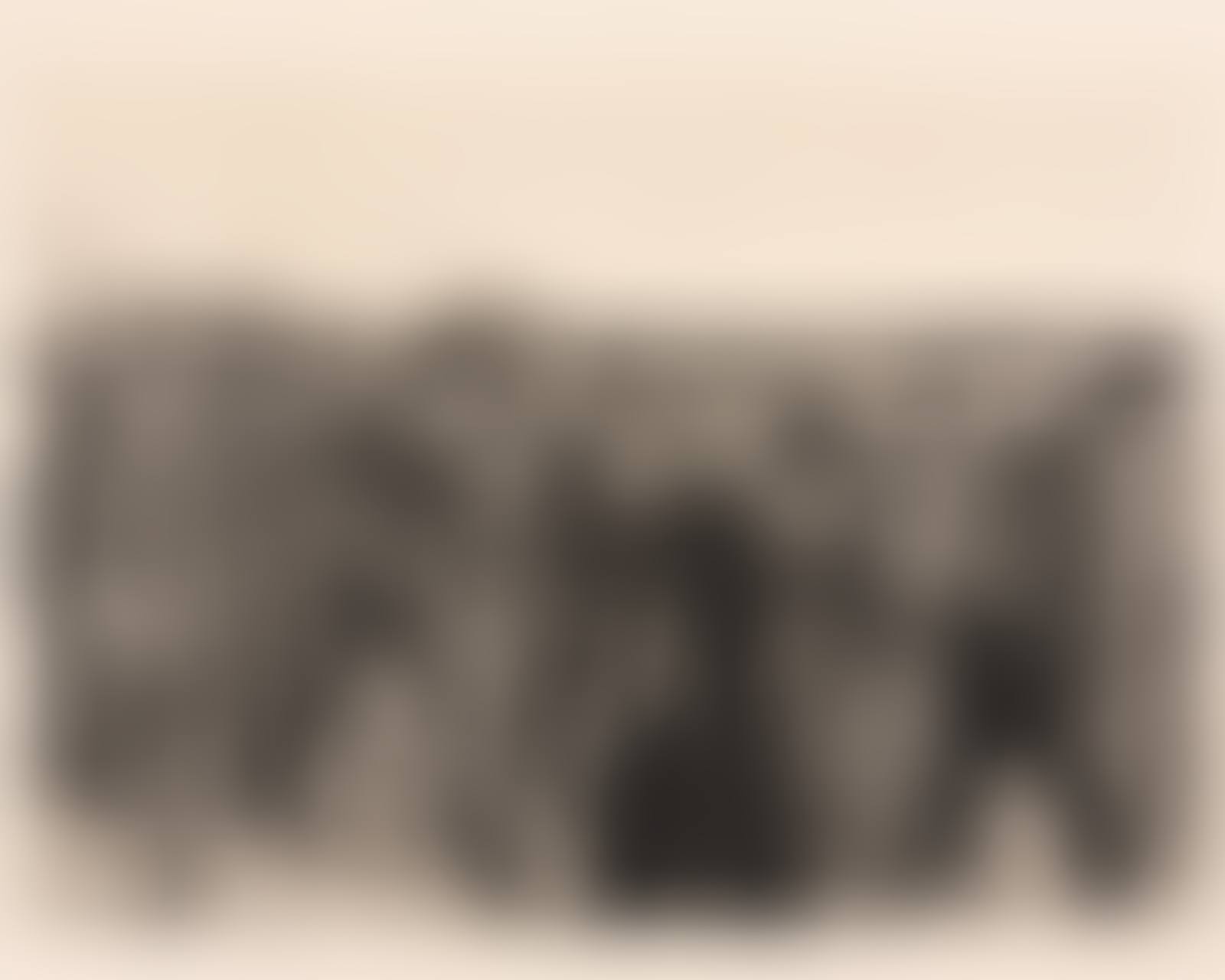Zehn Original radierungen (complete portfolio of 10 in original pasteboard portfolio) (preview)