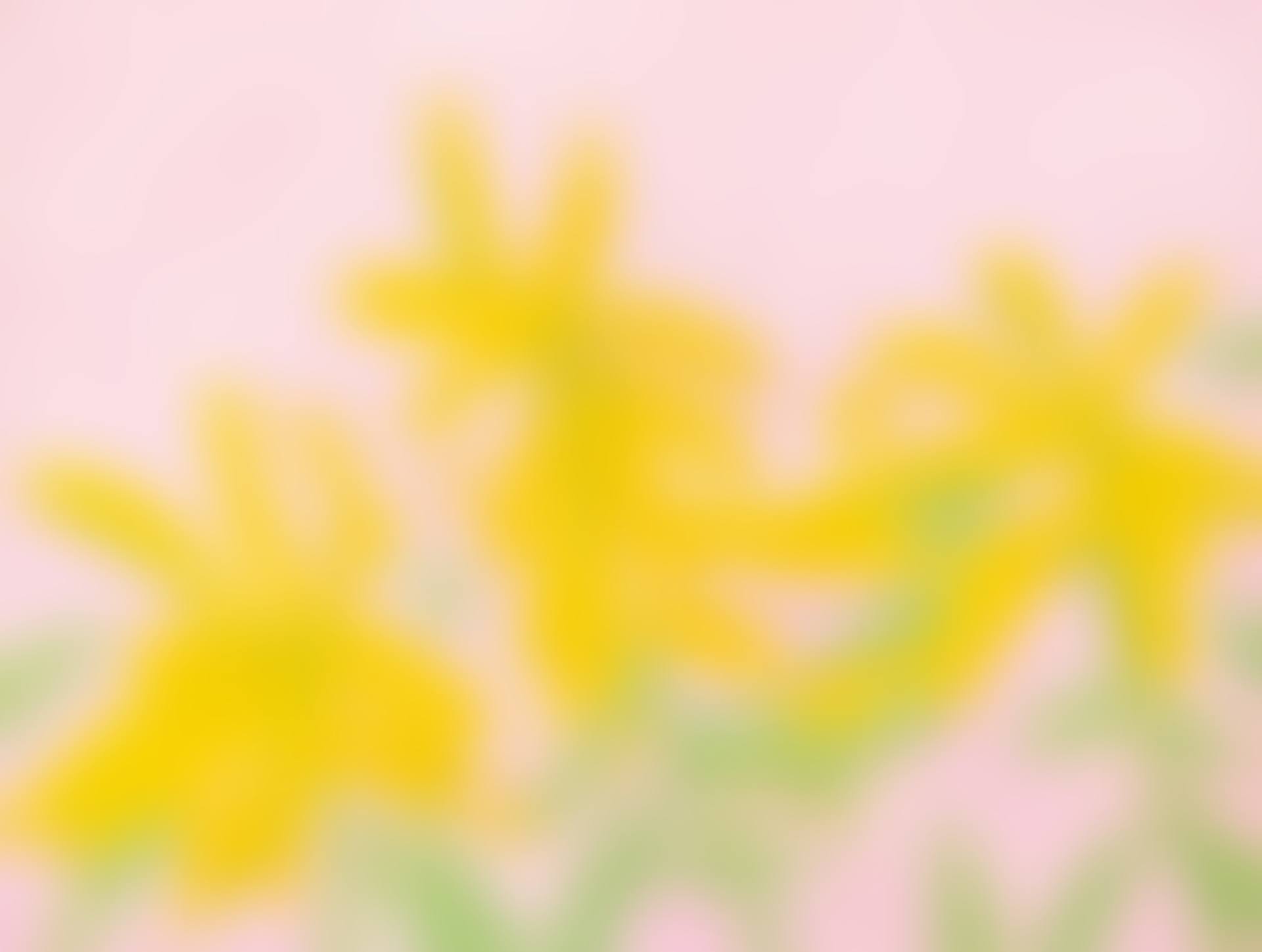 Yellow Goldenrod (PA) (preview)