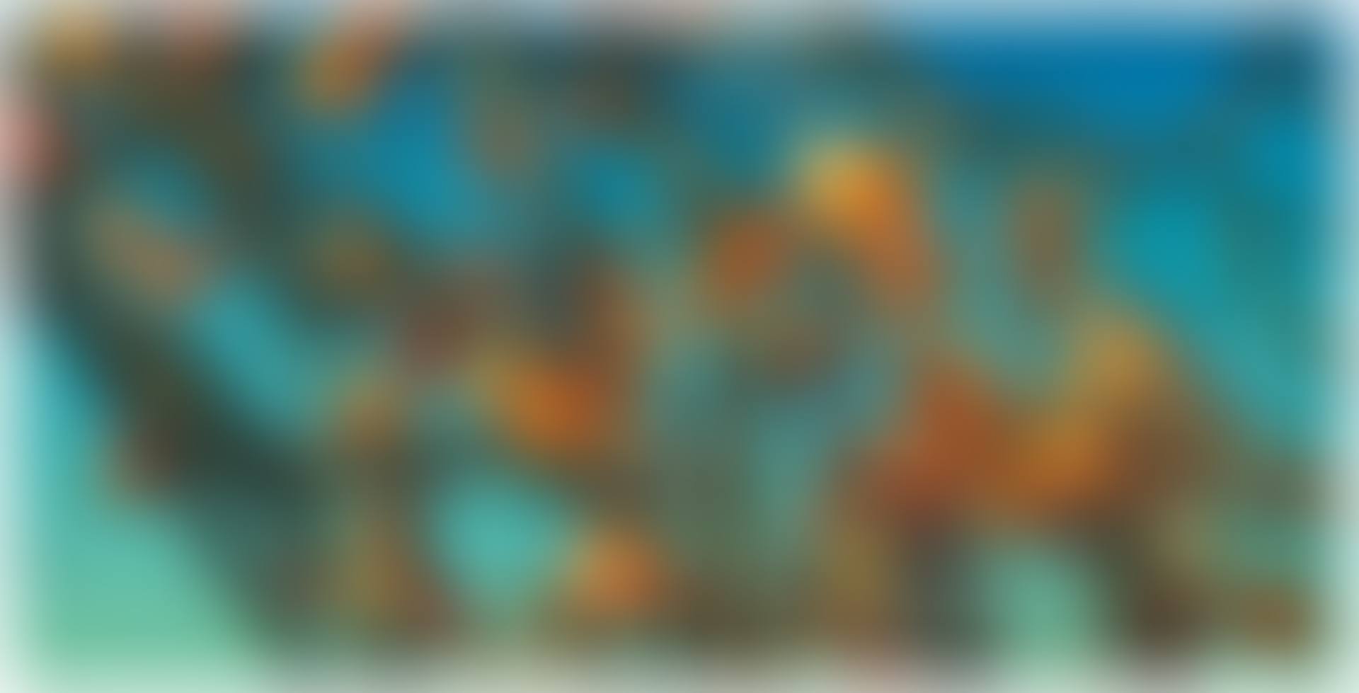 Persimmon (preview)