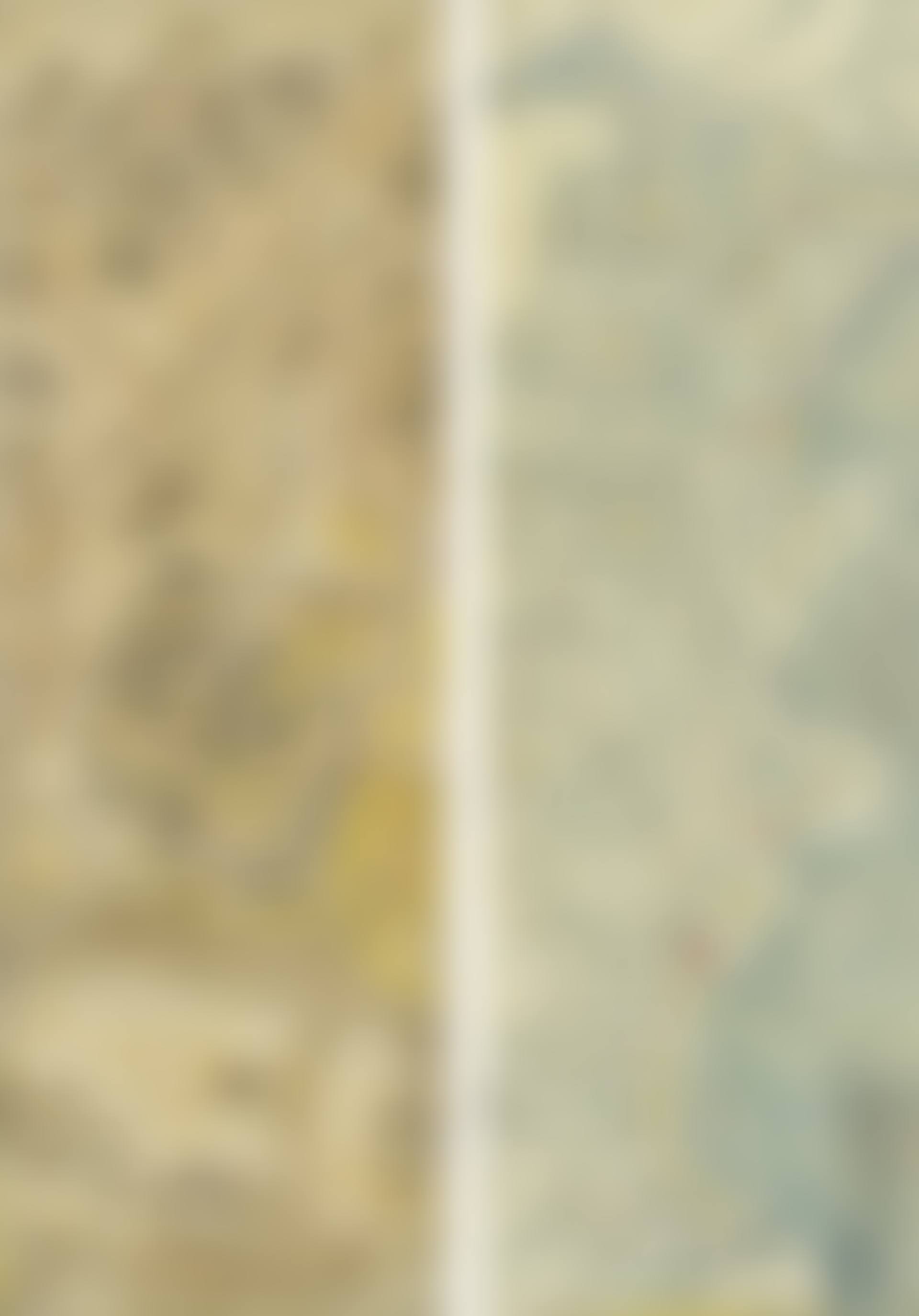 Map of Bukgwan (preview)