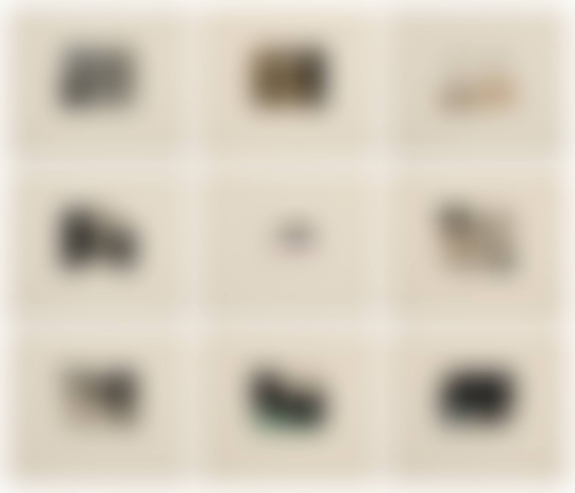 Black Dice (Coplan-Hurowitz 10-18) (preview)