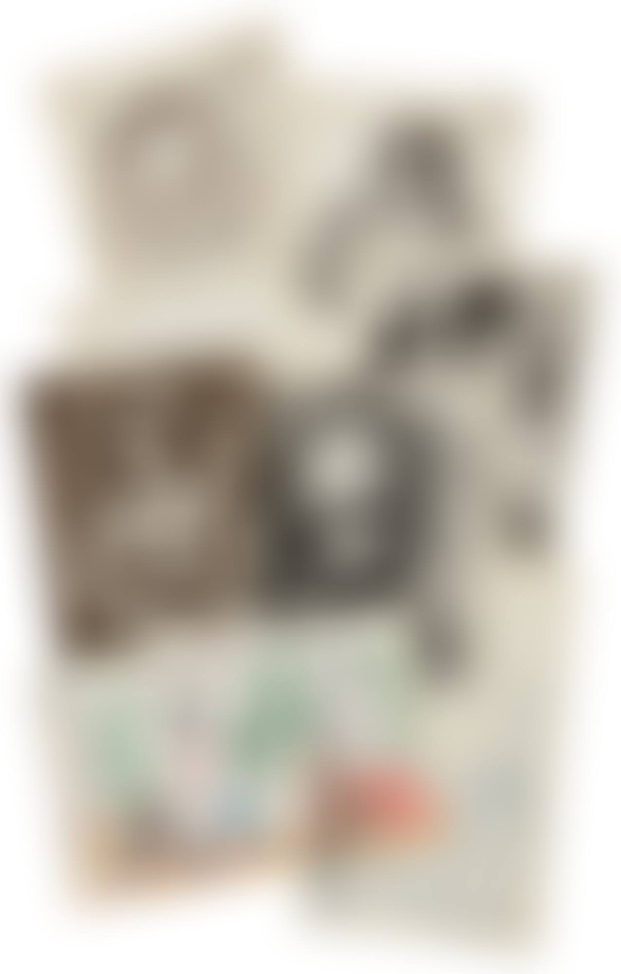 Carnet de la Californie: 14 plates (See Cramer Books 101) (preview)