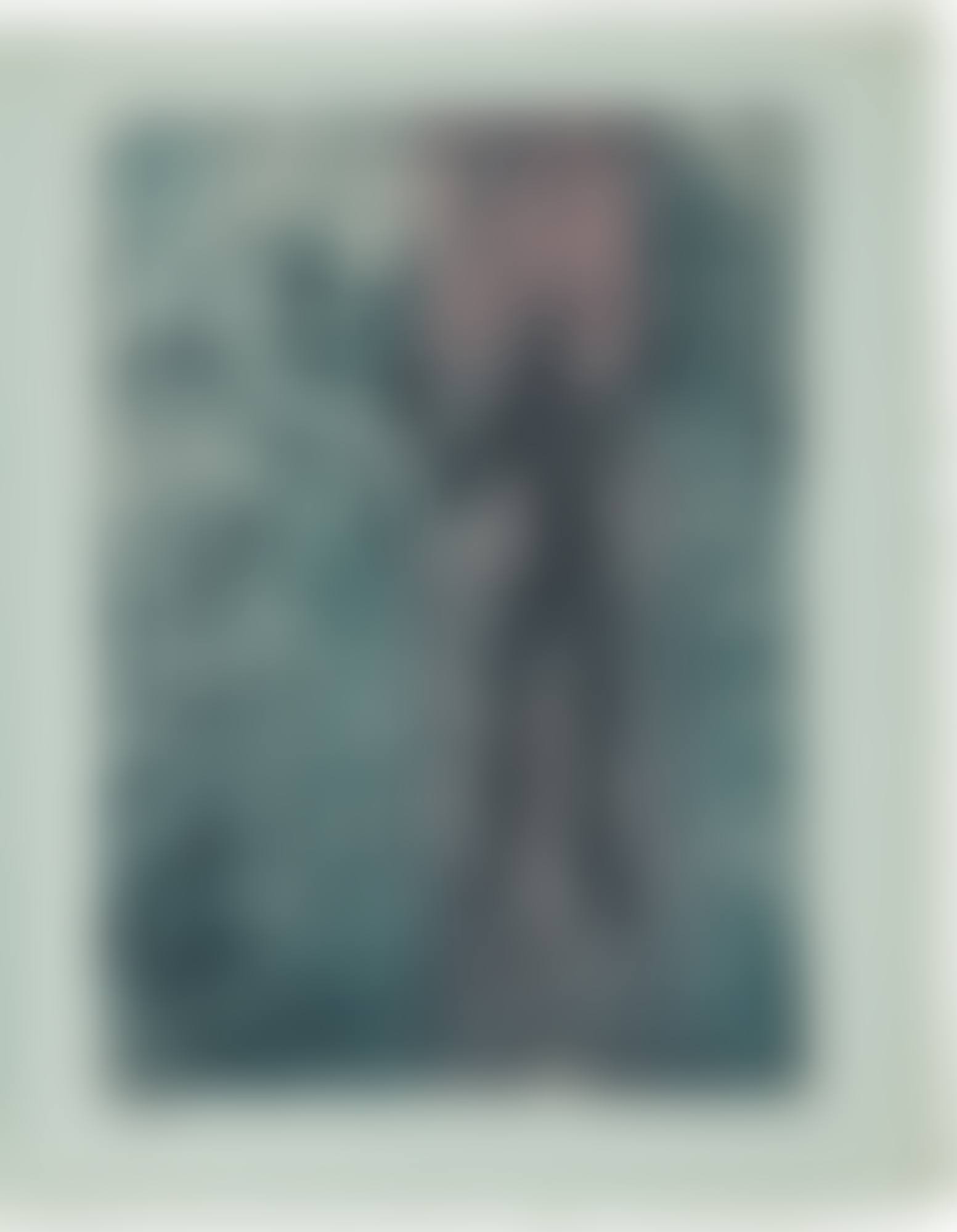 Paroles Peintes (preview)