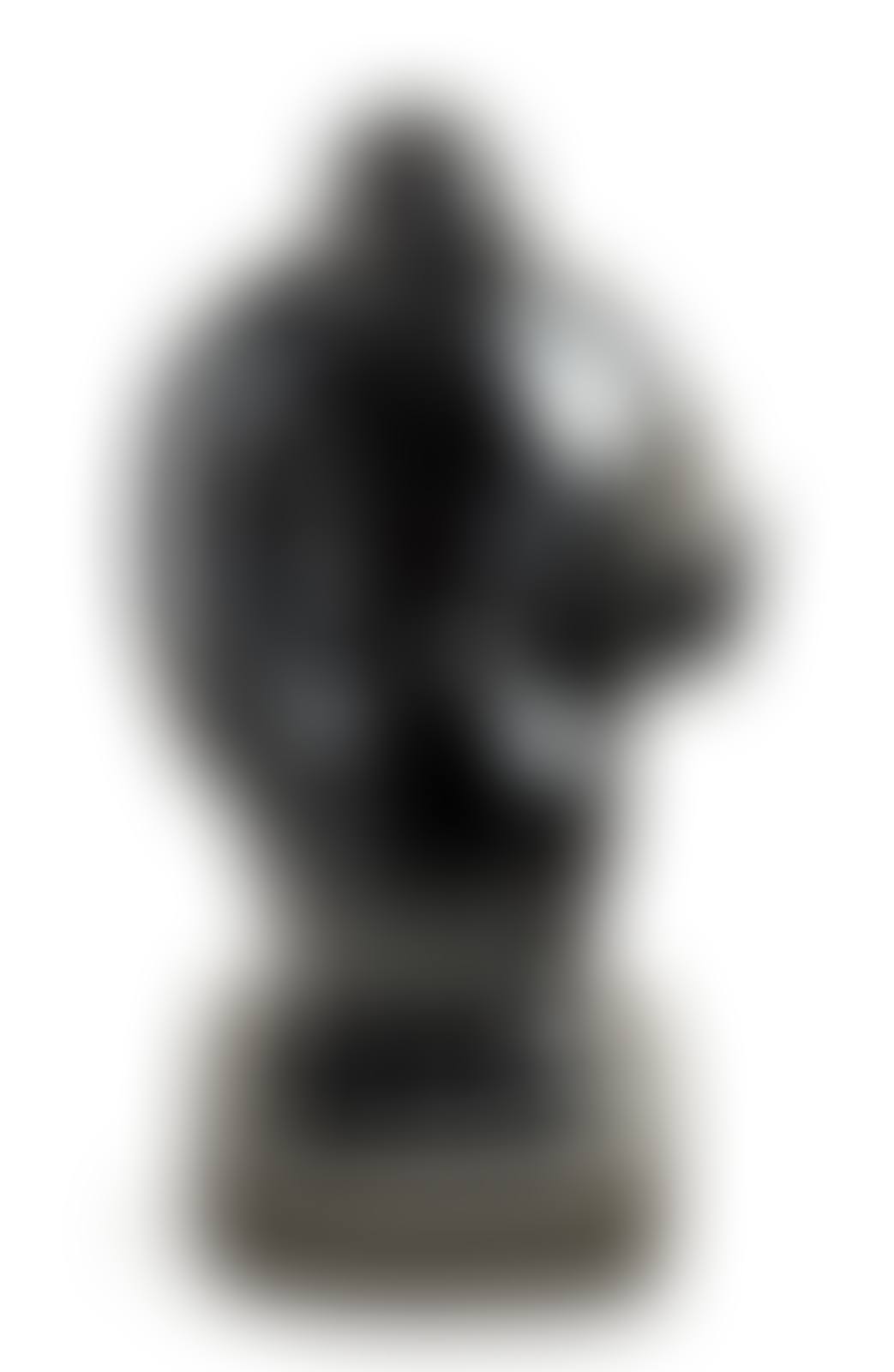Siddhartha (preview)