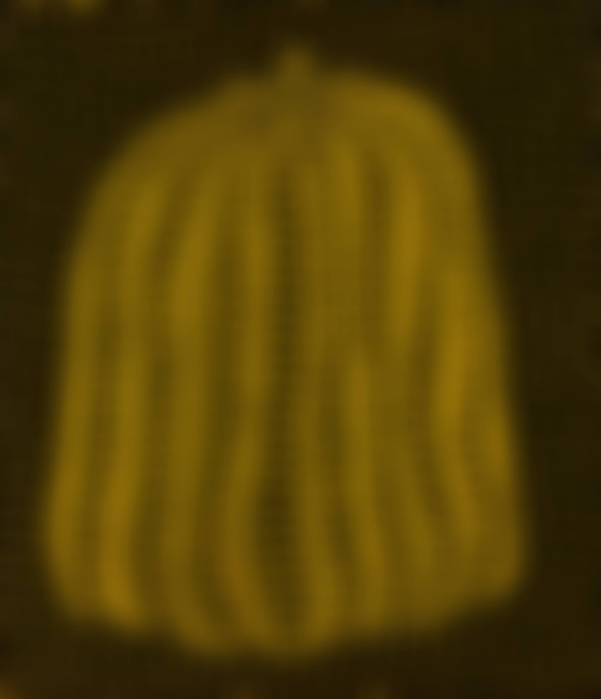Pumpkin (preview)