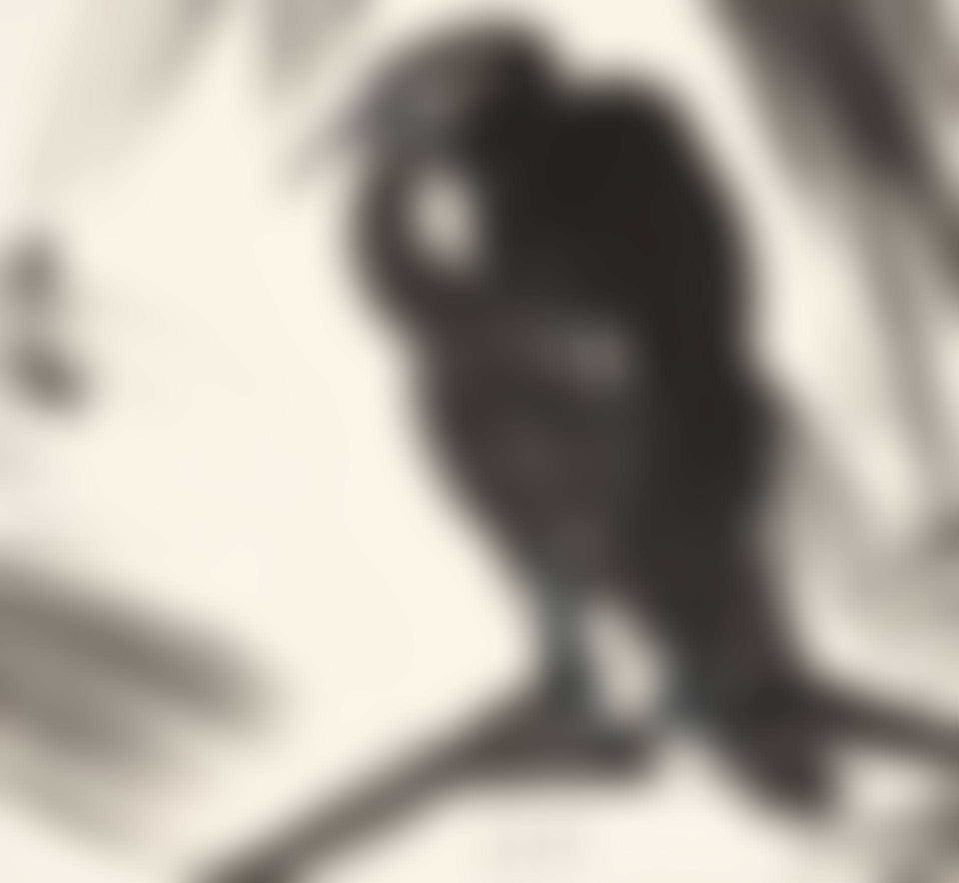 Eagle (preview)