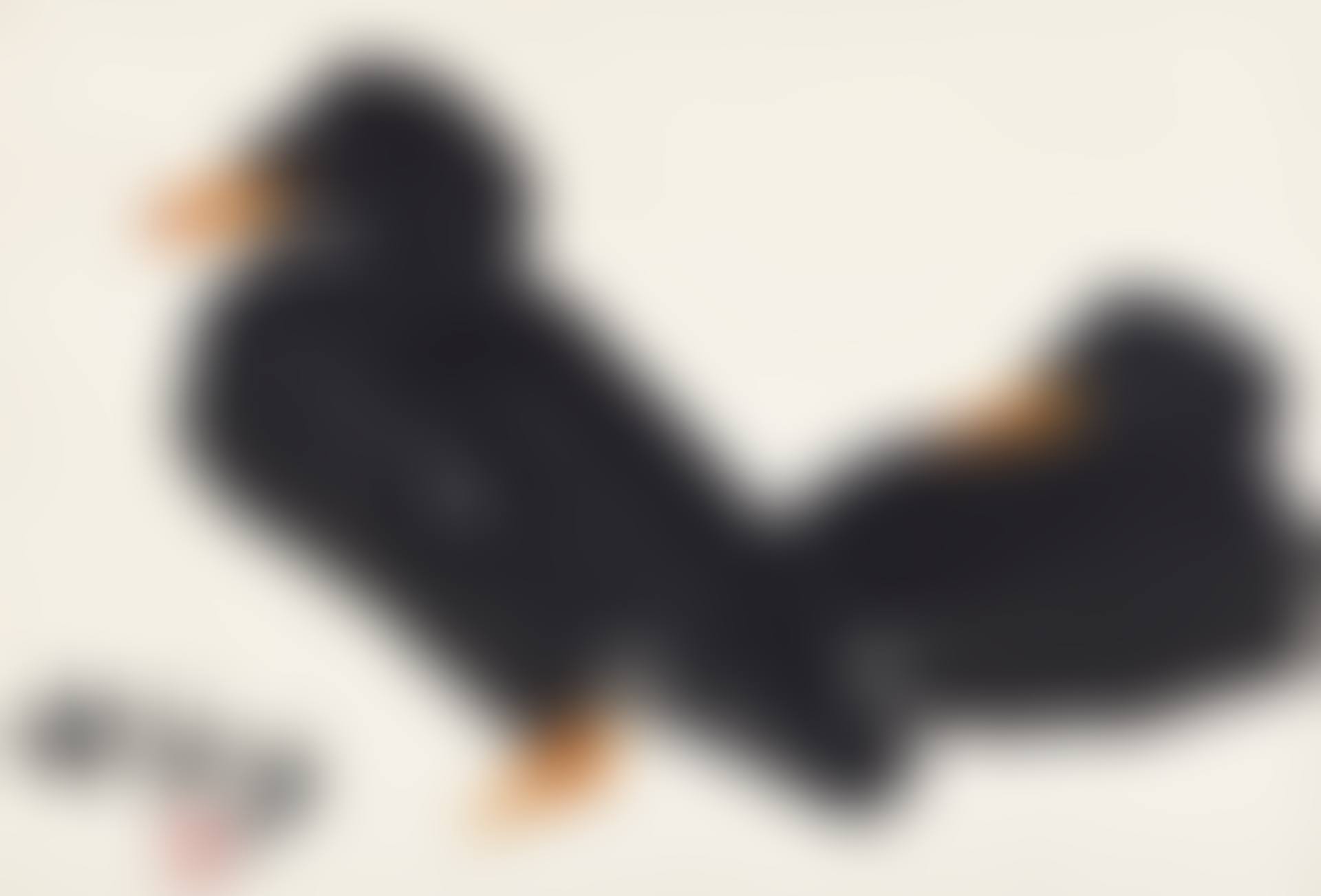 Two Ducks (preview)