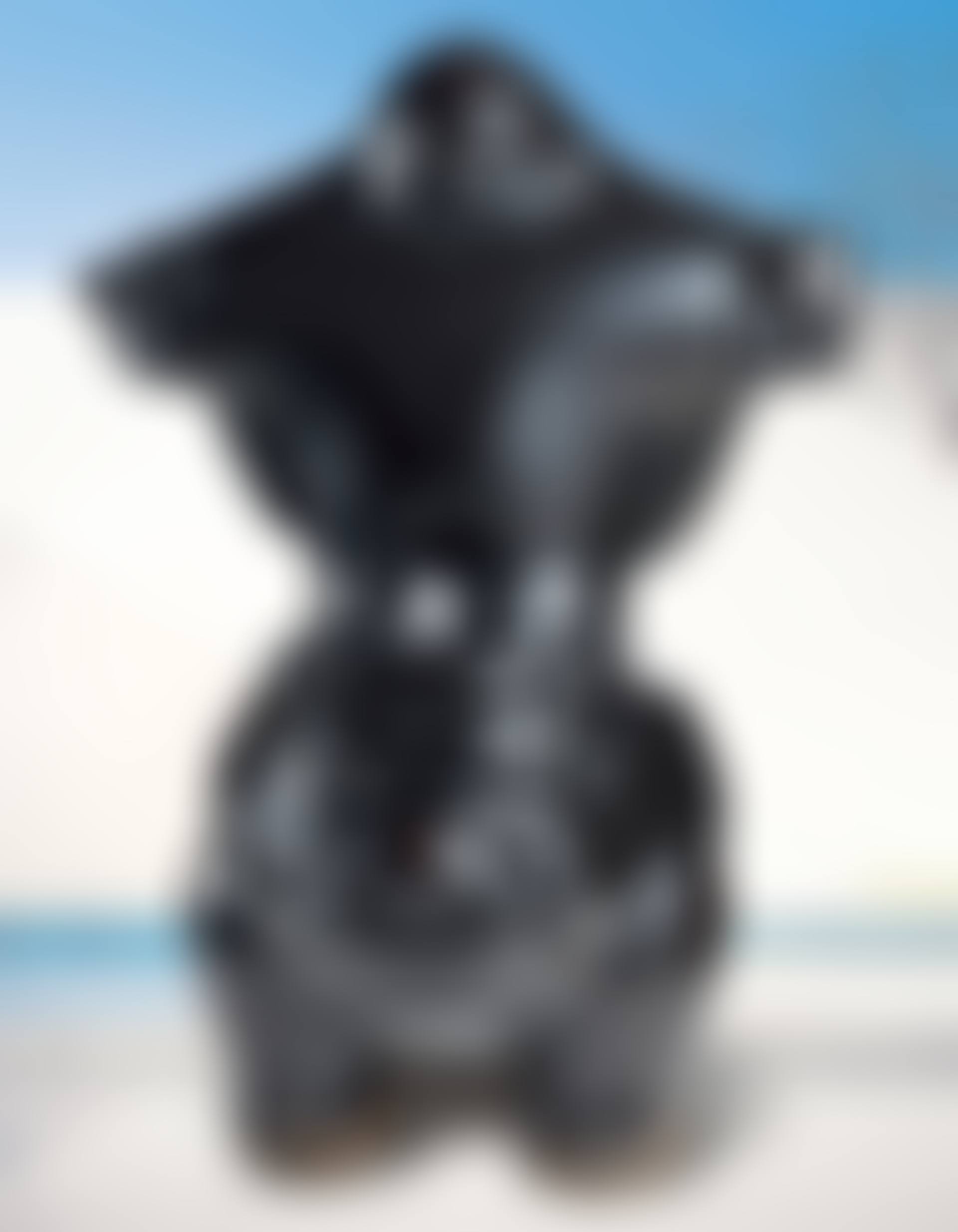 Dragon-Riding Buddha (preview)