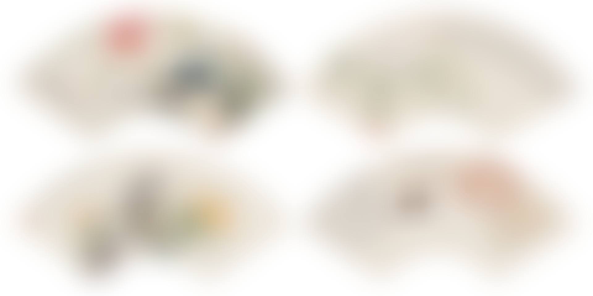 FLOWERS, VEGETABLES, ROCK AND CHRYSANTHEMUM, WHITE PEONY (preview)