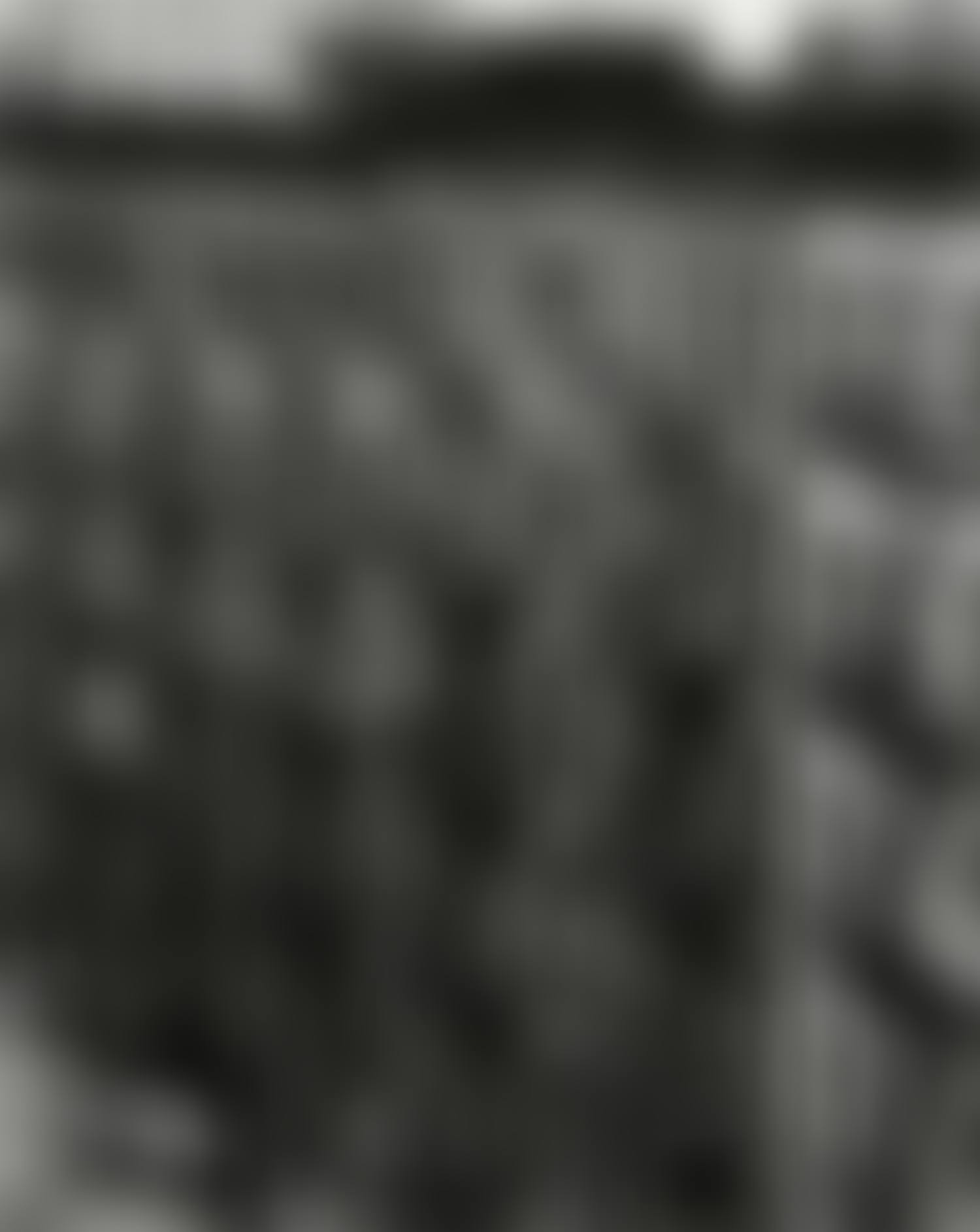 East 100th Street, New York (facades) (preview)